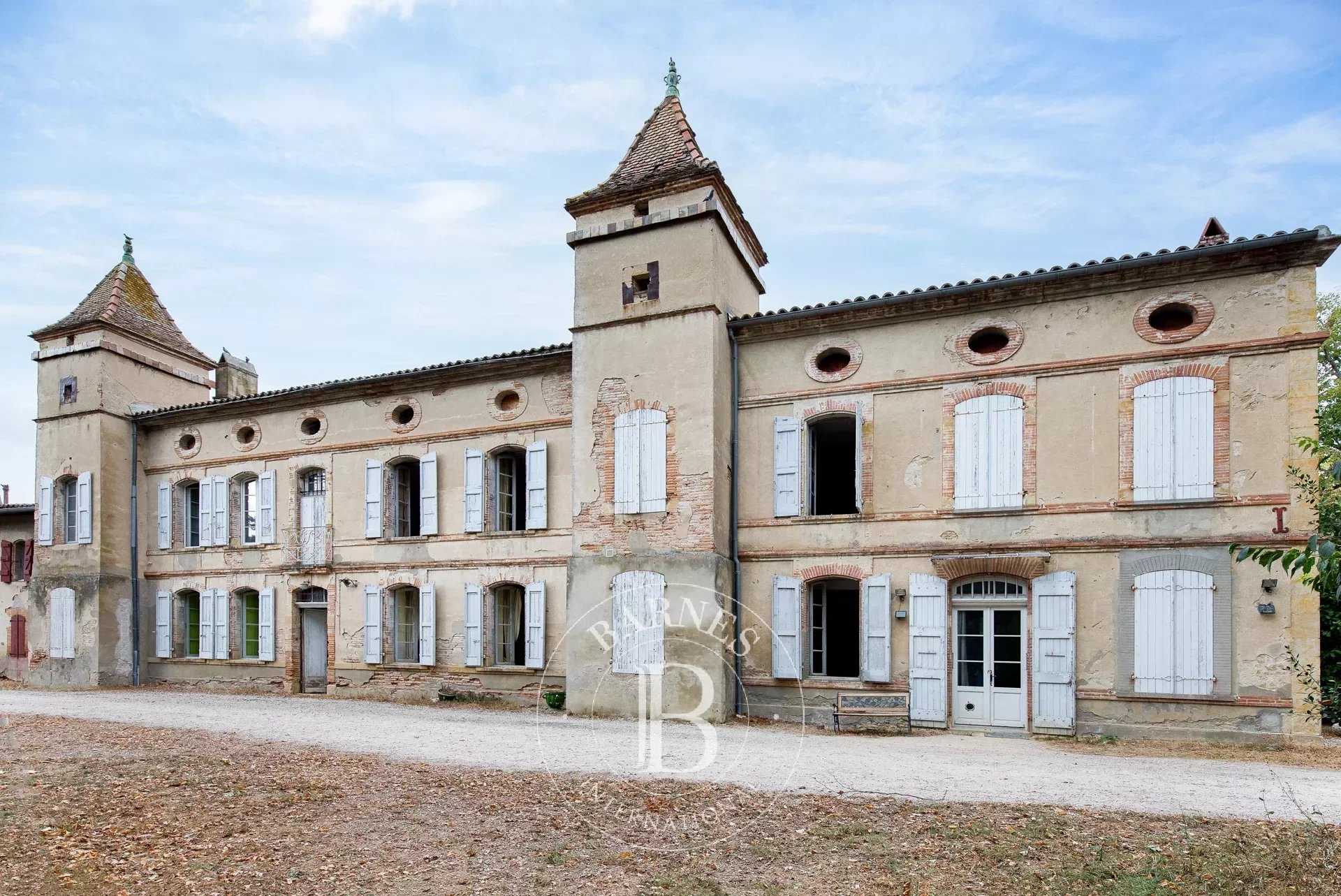 Château Villefranche-de-Lauragais  -  ref 84169229 (picture 3)