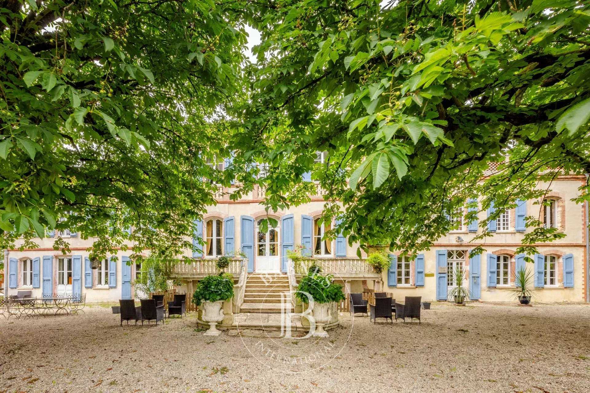 Castle Toulouse  -  ref 86133097 (picture 3)