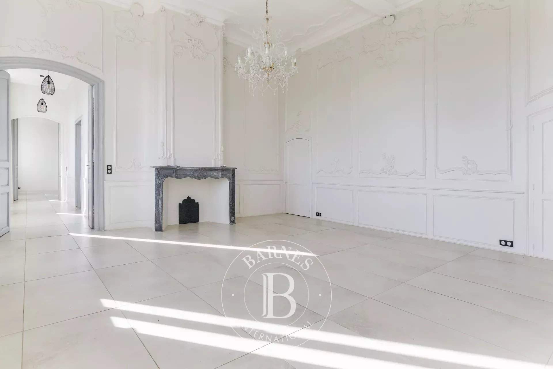 Auch  - Château 10 Pi&egrave;ces 4 Chambres - picture 7