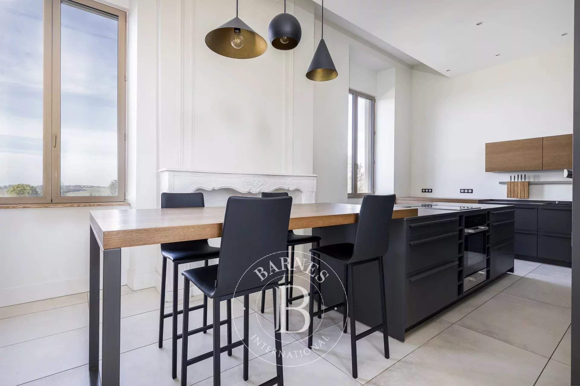 Auch  - Château 10 Pi&egrave;ces 4 Chambres - picture 9