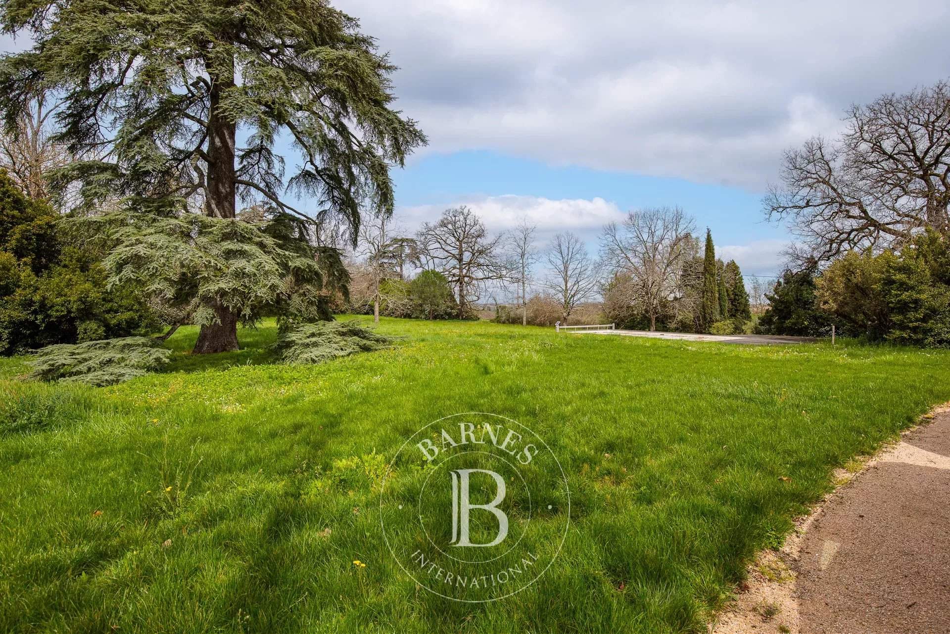 Verfeil  - Property 11 Bedrooms - picture 13