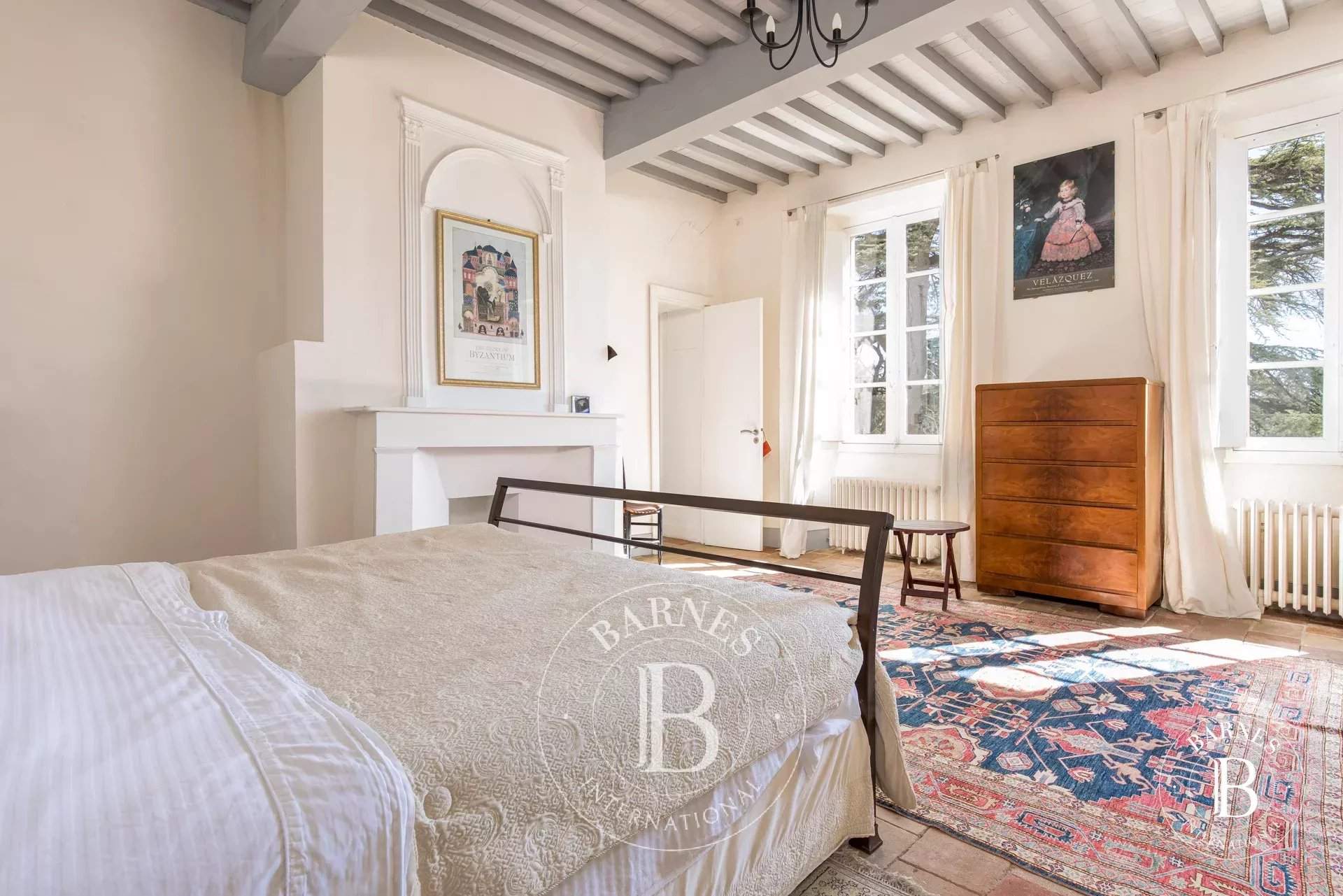 Albi  - Château 15 Pi&egrave;ces 7 Chambres - picture 13