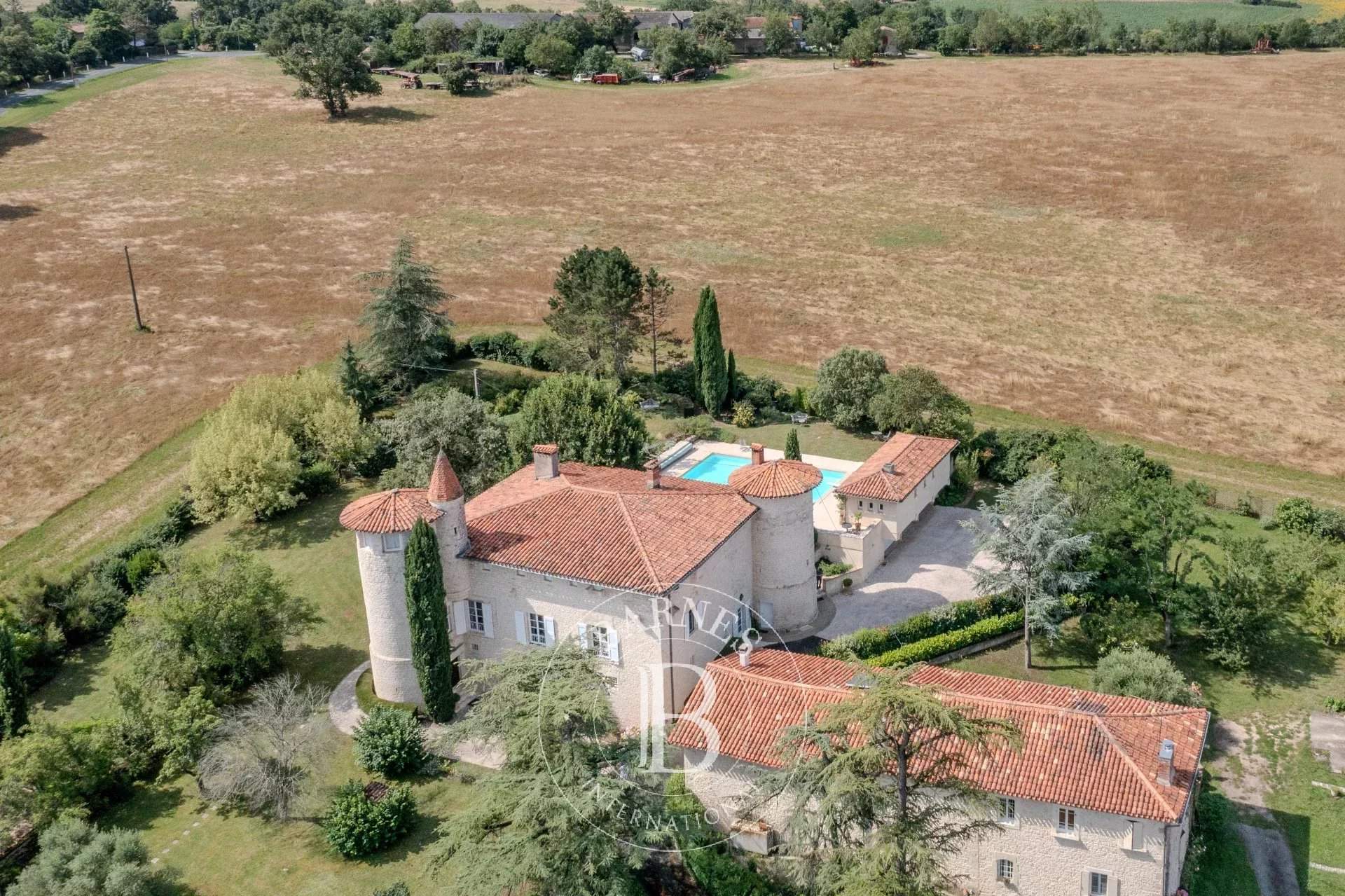 Albi  - Castle 7 Bedrooms - picture 14