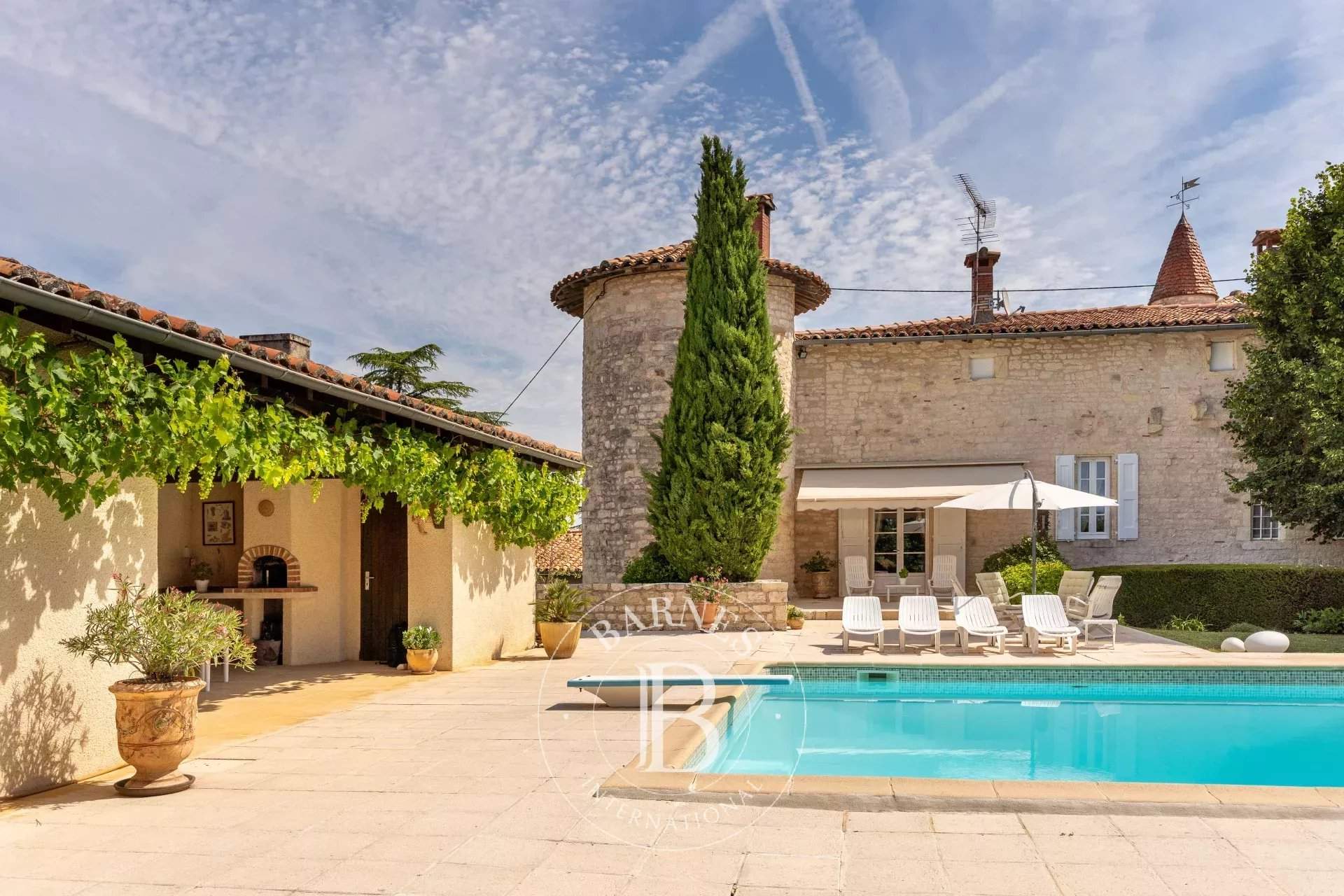 Albi  - Castle 7 Bedrooms - picture 13