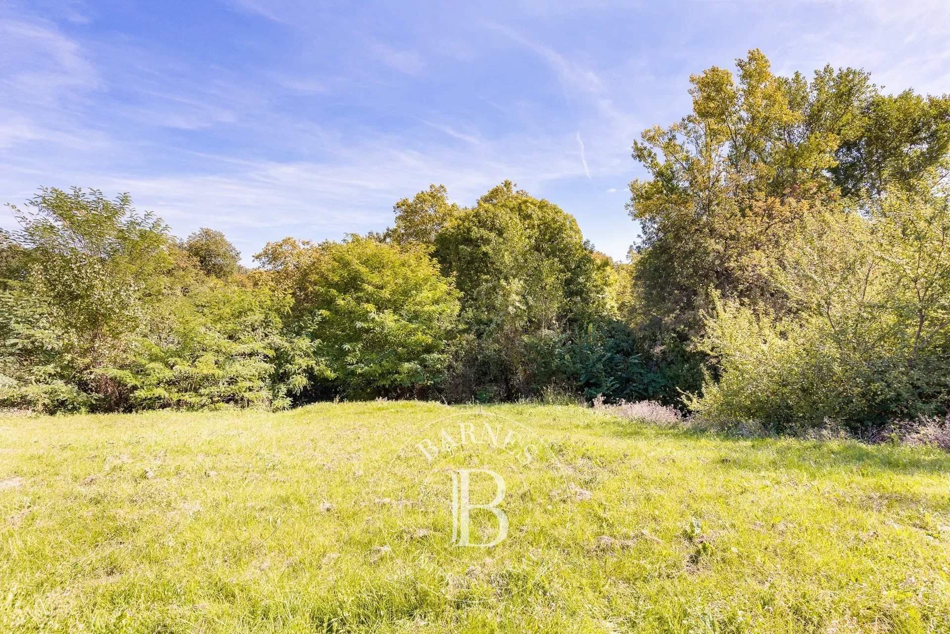 Toulouse  - House 5 Bedrooms - picture 13