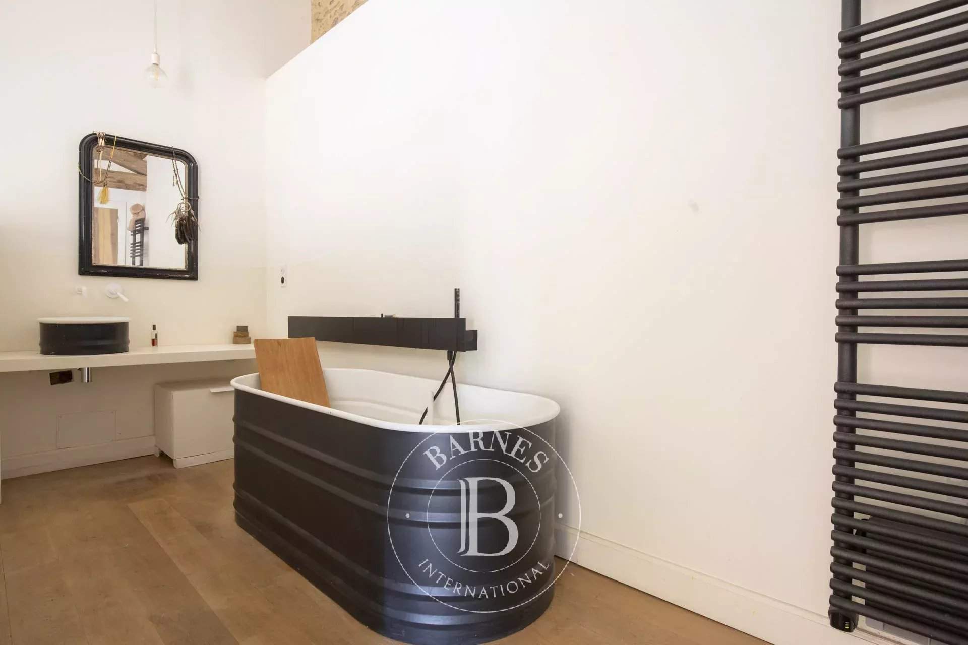 Albi  - Propriété  - picture 9