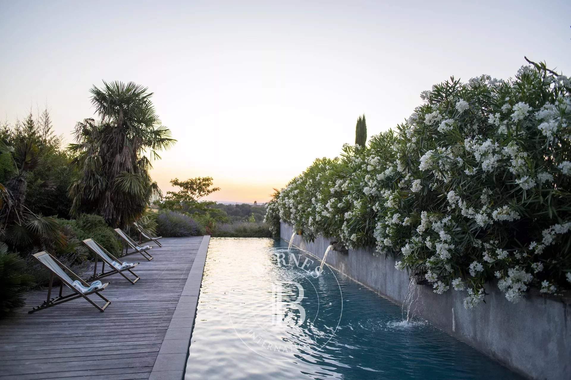 Albi  - Property  - picture 2