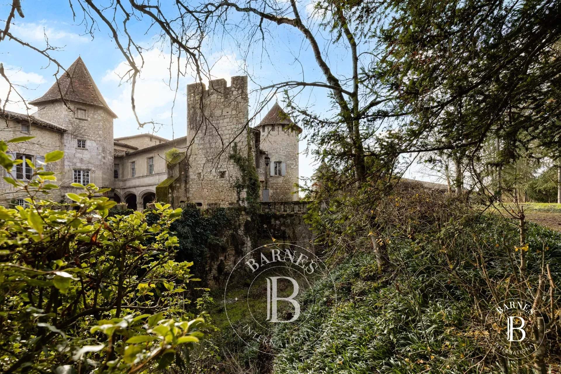 Lectoure  - Castle 9 Bedrooms - picture 6