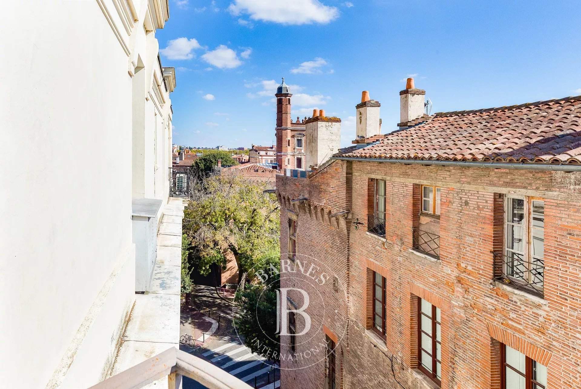 Toulouse  - Apartment 4 Bedrooms - picture 11