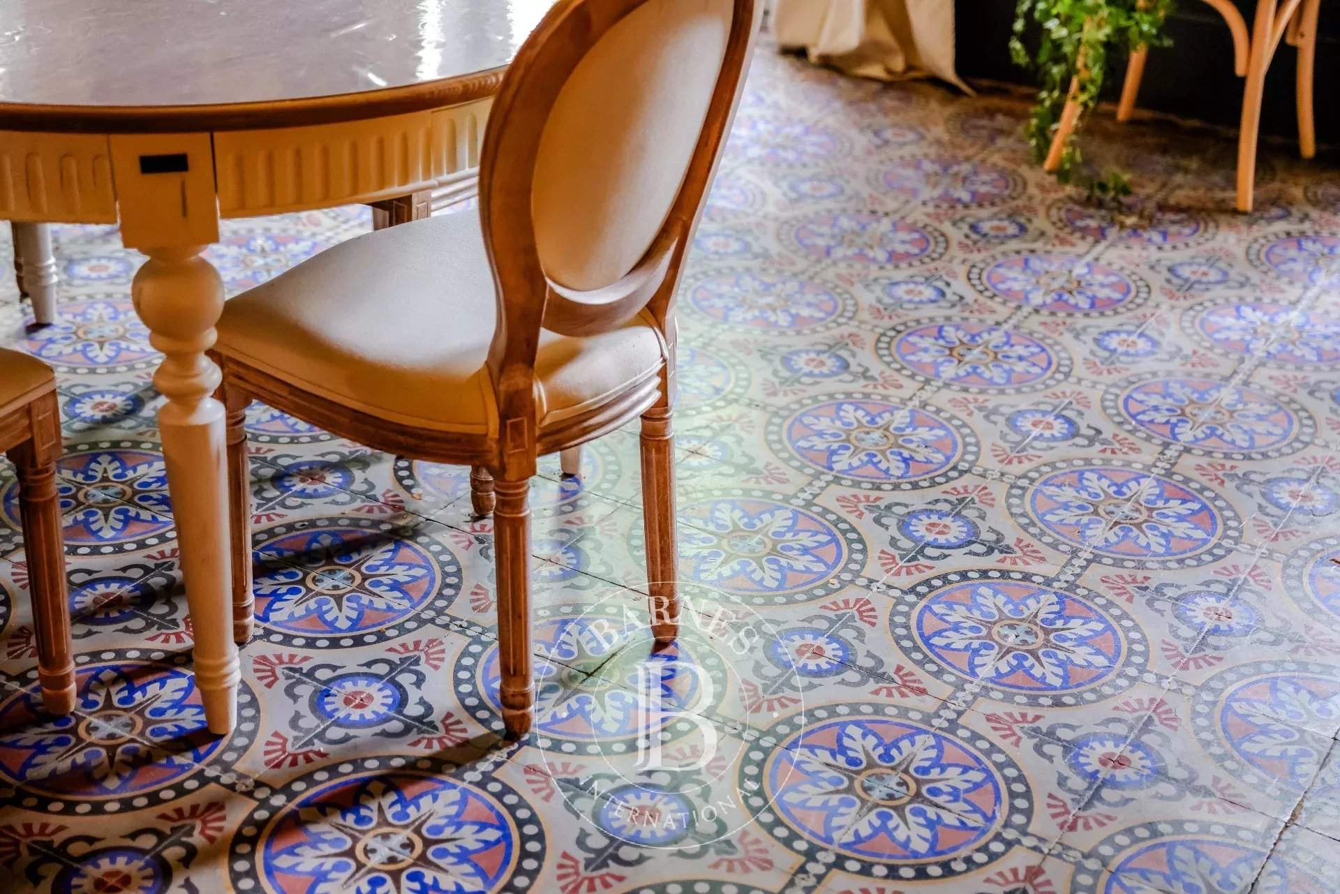 Toulouse  - Castle 12 Bedrooms - picture 9