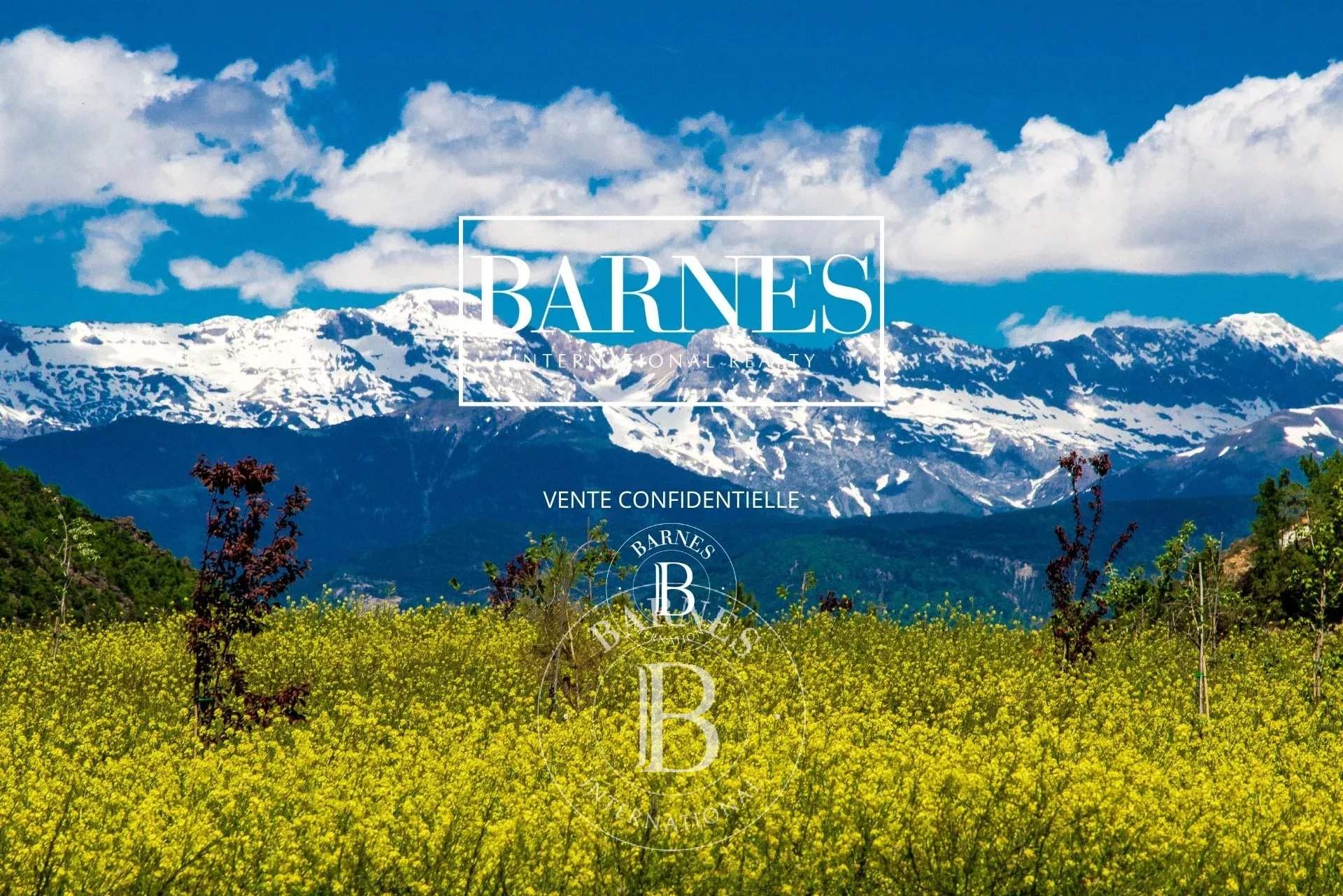 La Mongie  - Villa 7 Bedrooms - picture 1