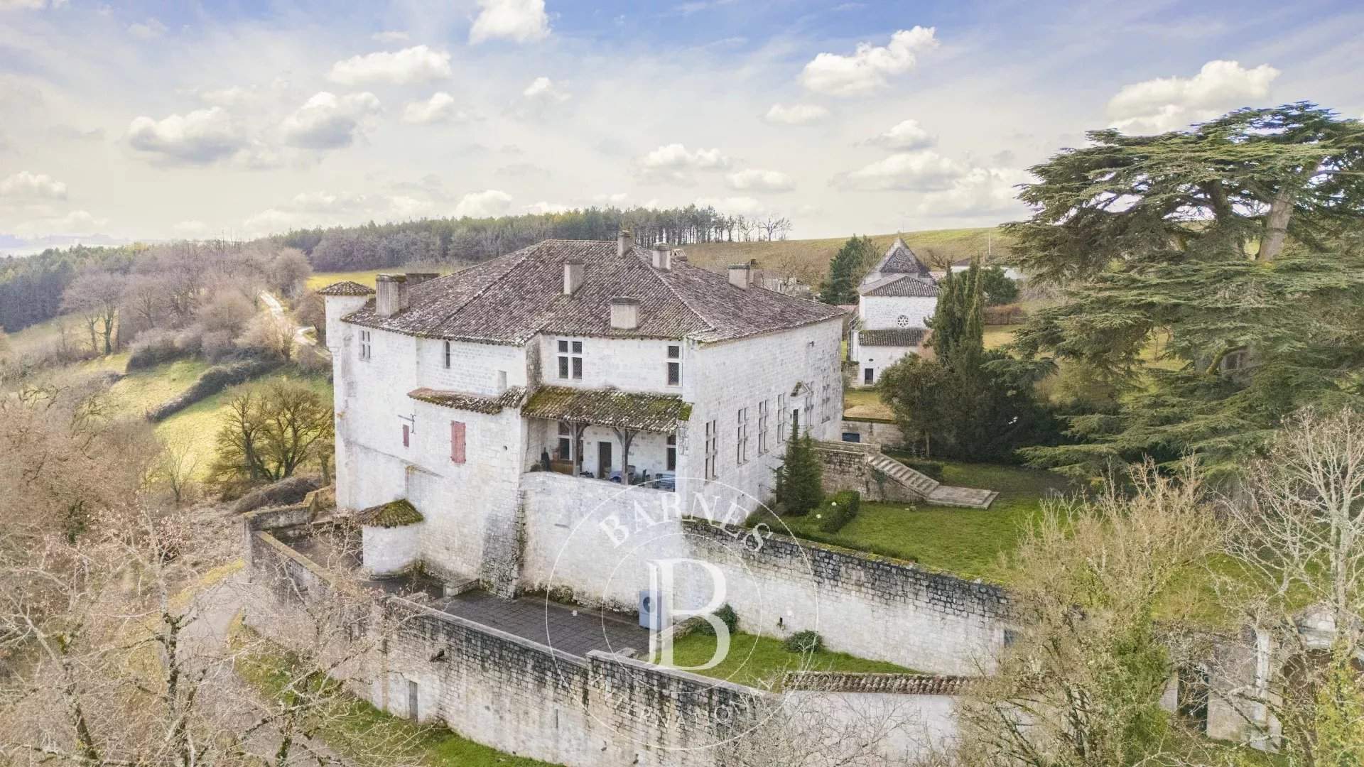 Lauzerte  - Castle 8 Bedrooms - picture 4