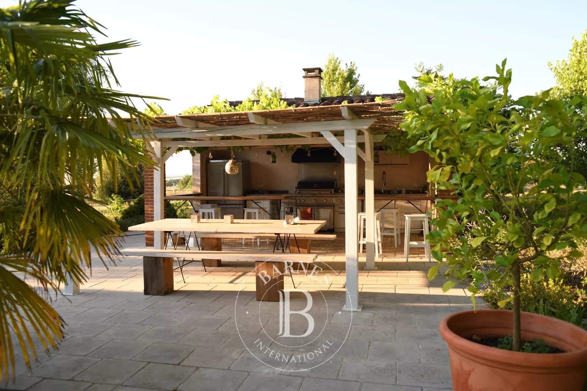 Albi  - Property  - picture 19