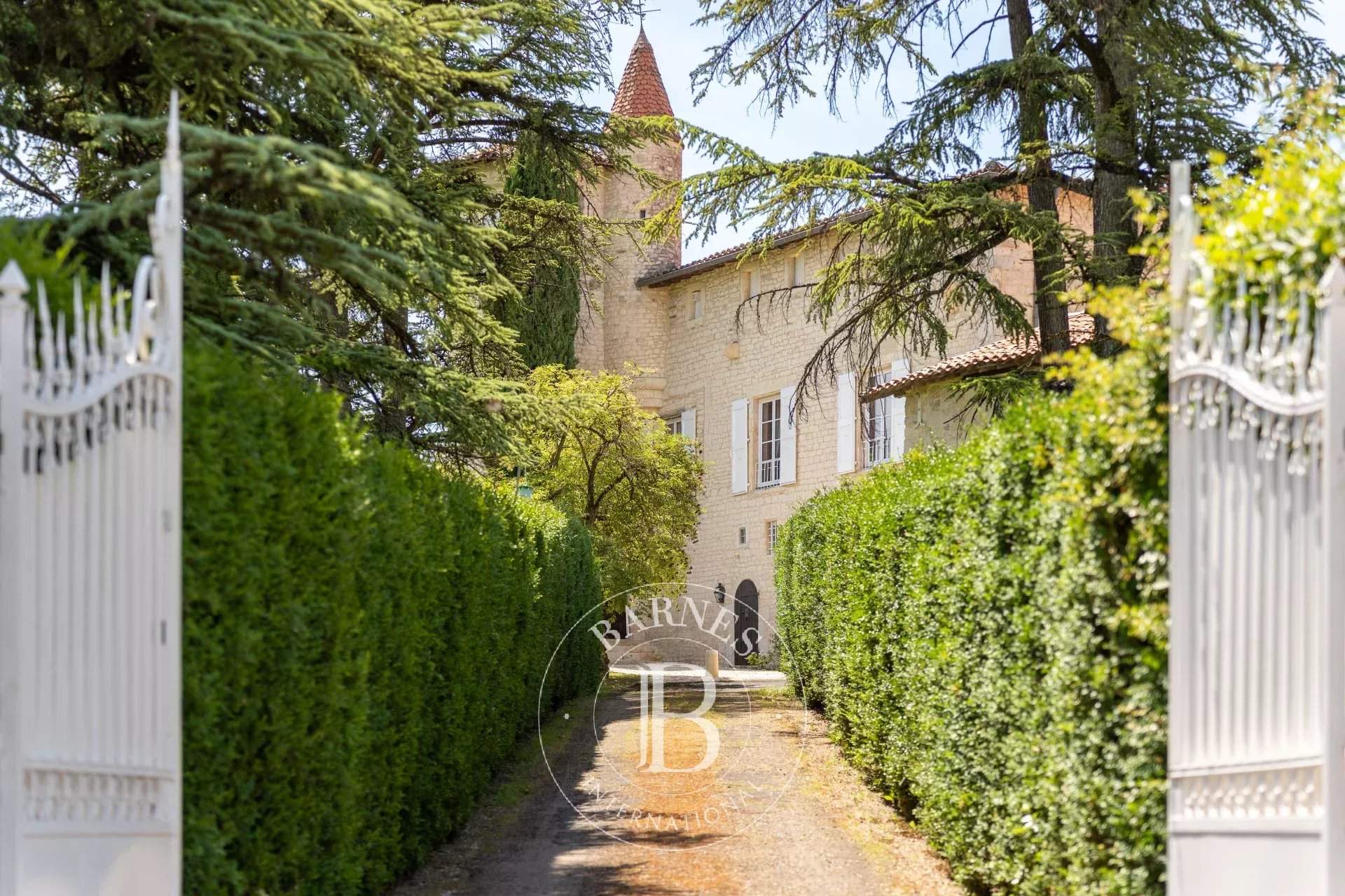 Albi  - Castle 7 Bedrooms - picture 17