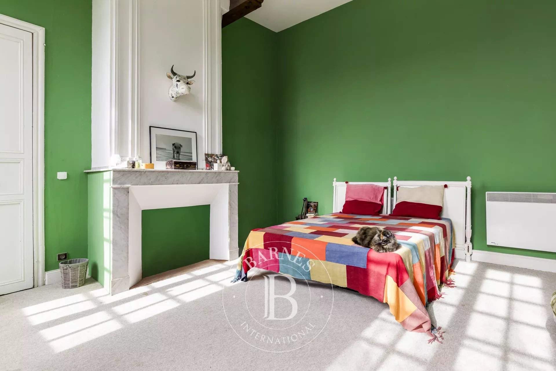 Rieux-Volvestre  - Château  - picture 11