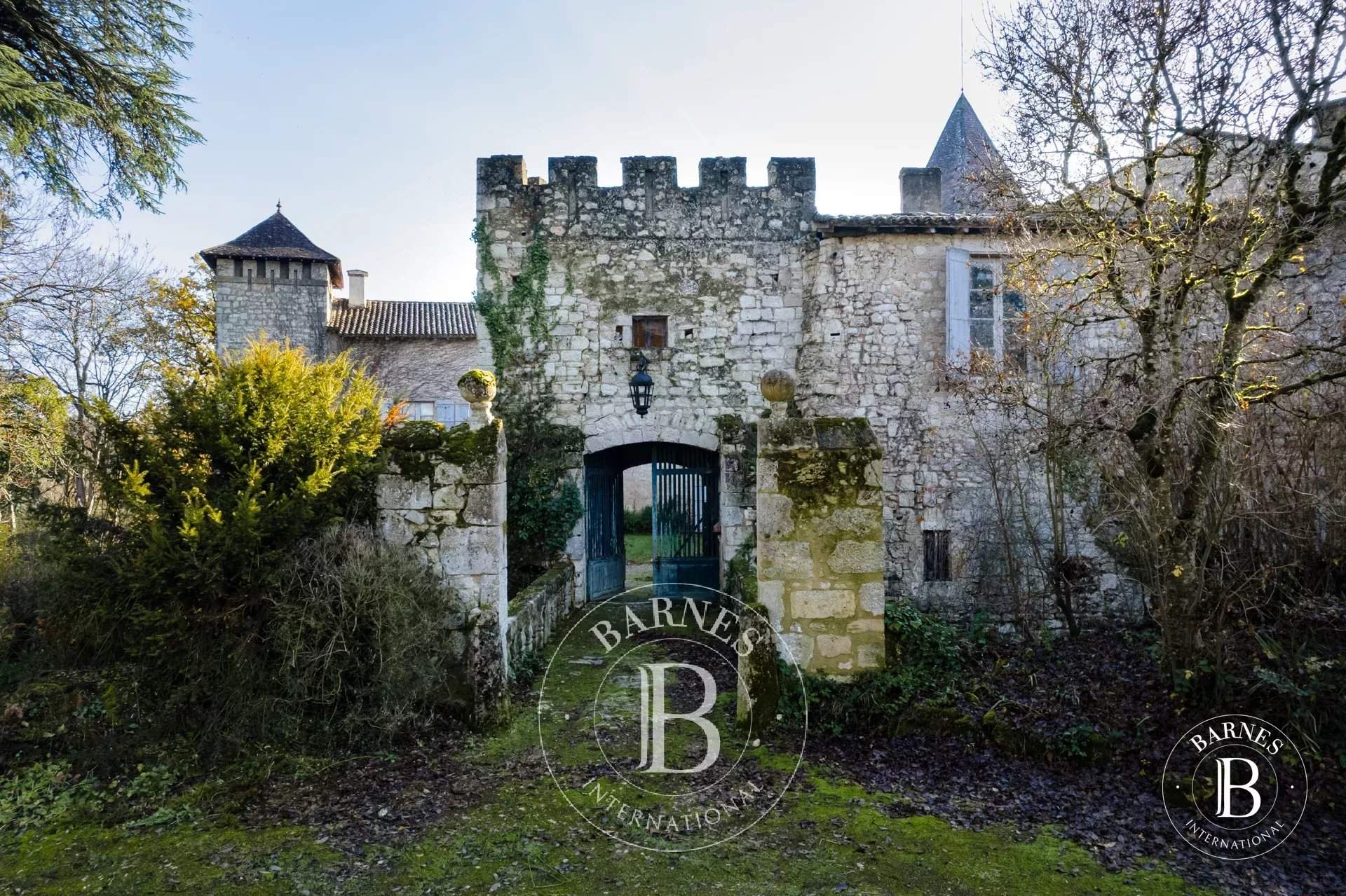 Lectoure  - Castle 9 Bedrooms - picture 3