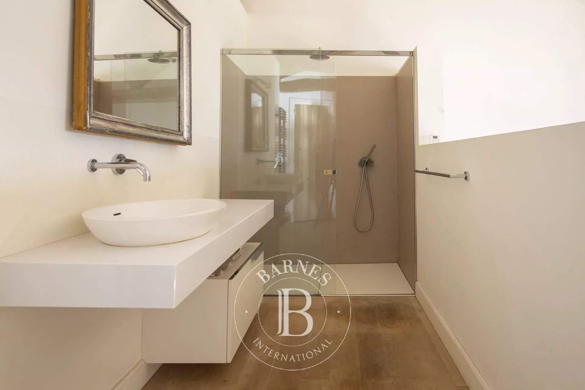 Albi  - Propriété  - picture 10