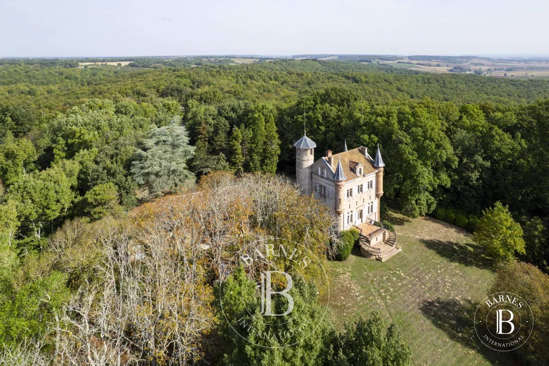 Mauvezin  - Castle 6 Bedrooms - picture 5