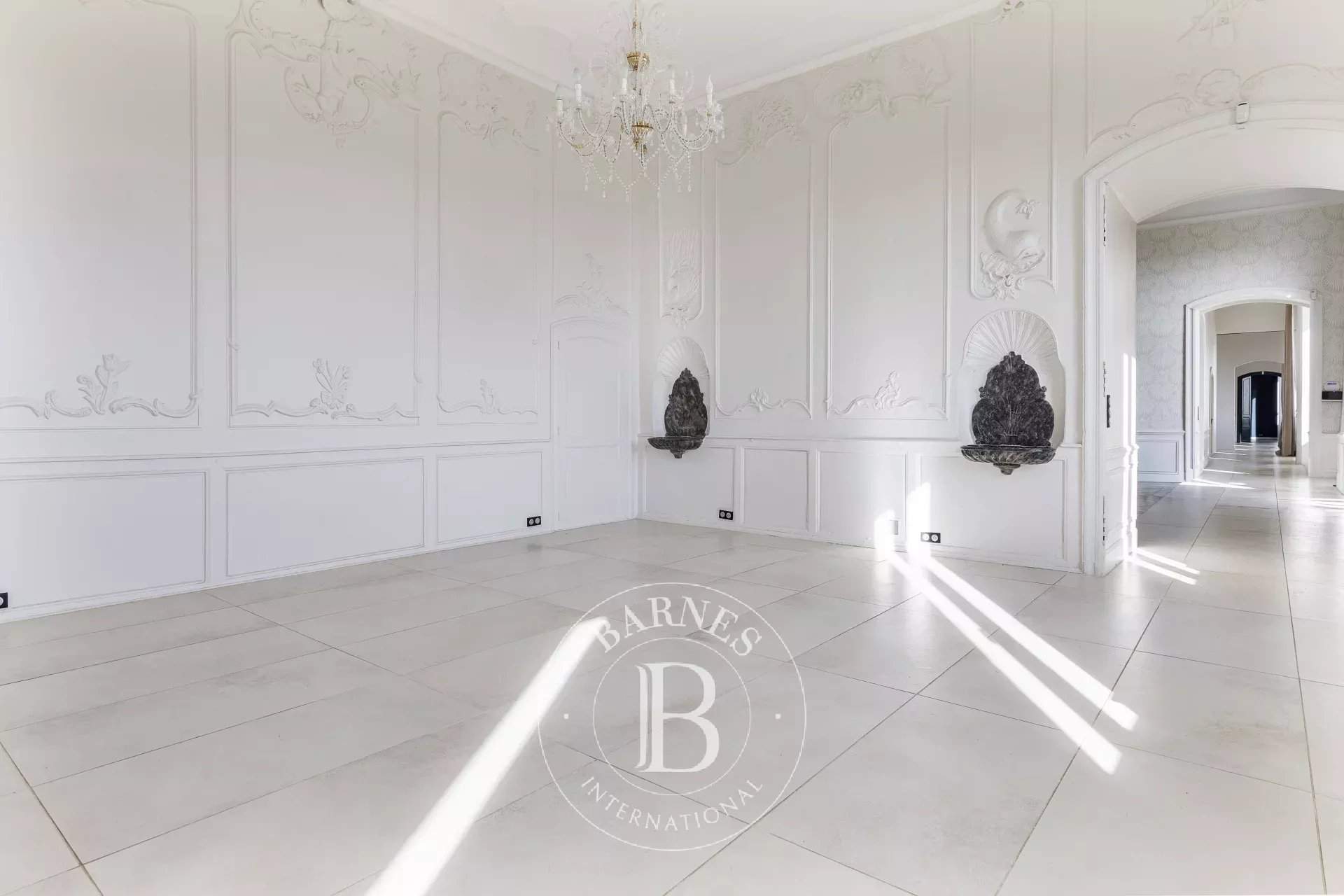 Auch  - Château 10 Pi&egrave;ces 4 Chambres - picture 8