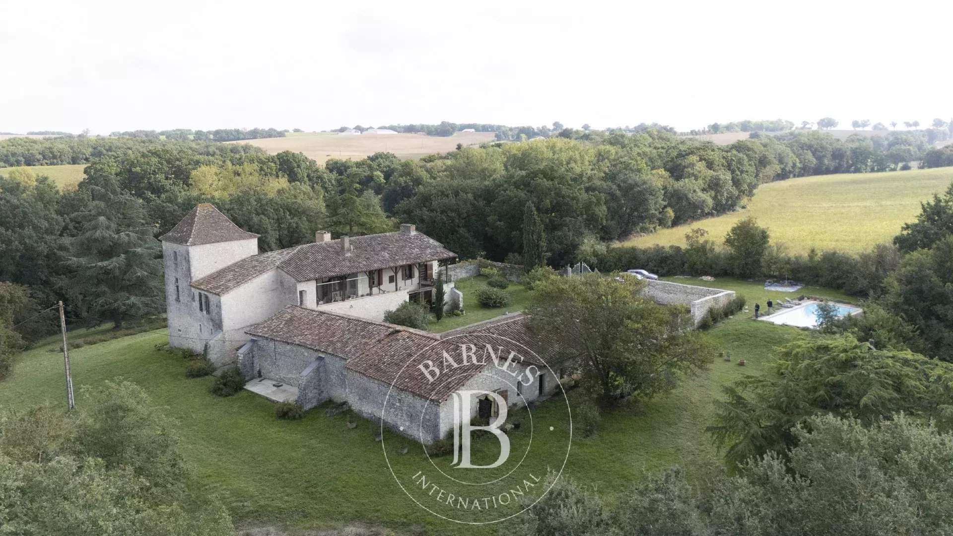 Mauvezin  - Château 11 Pi&egrave;ces 7 Chambres - picture 13