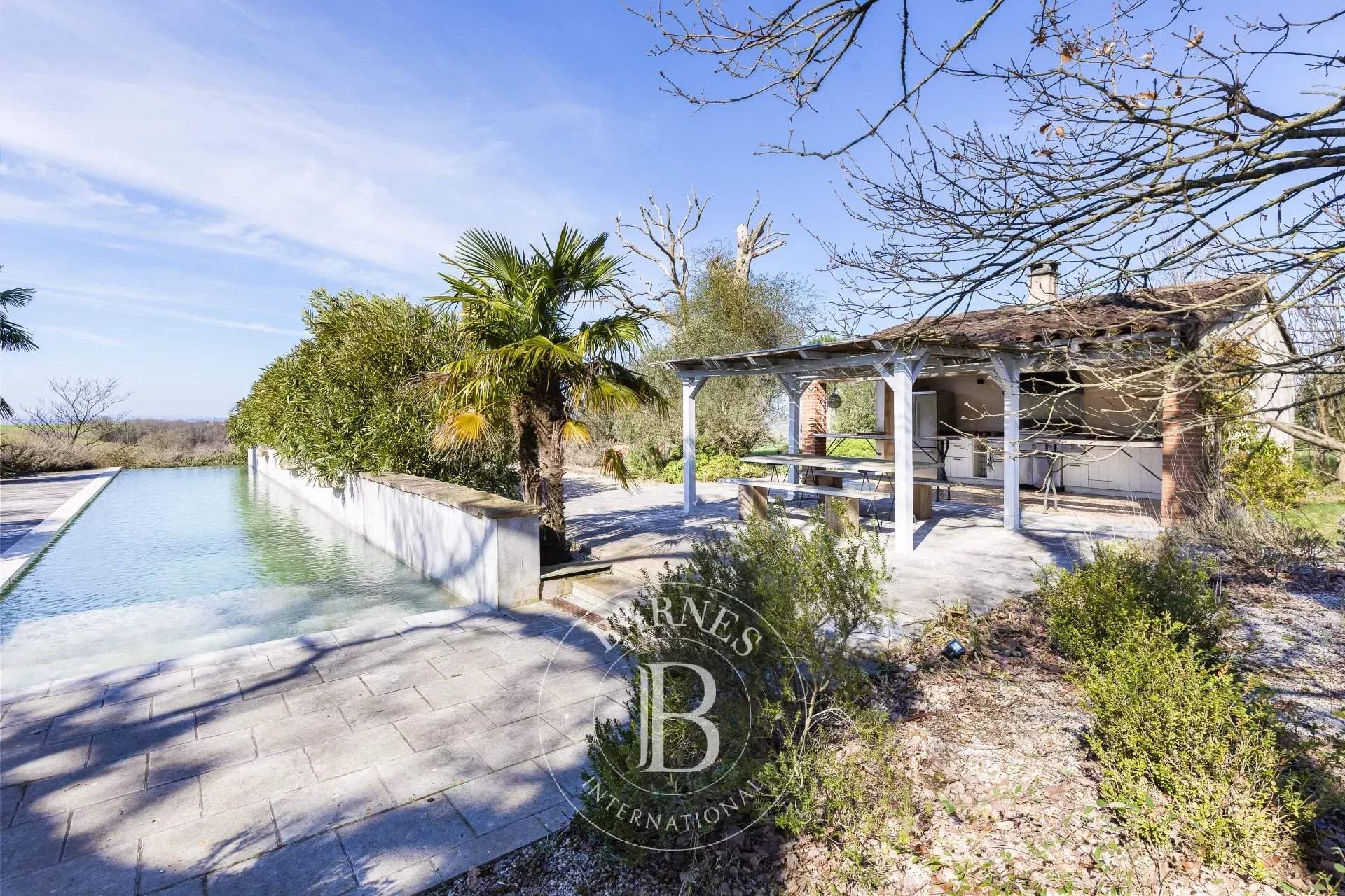 Albi  - Propriété  - picture 6