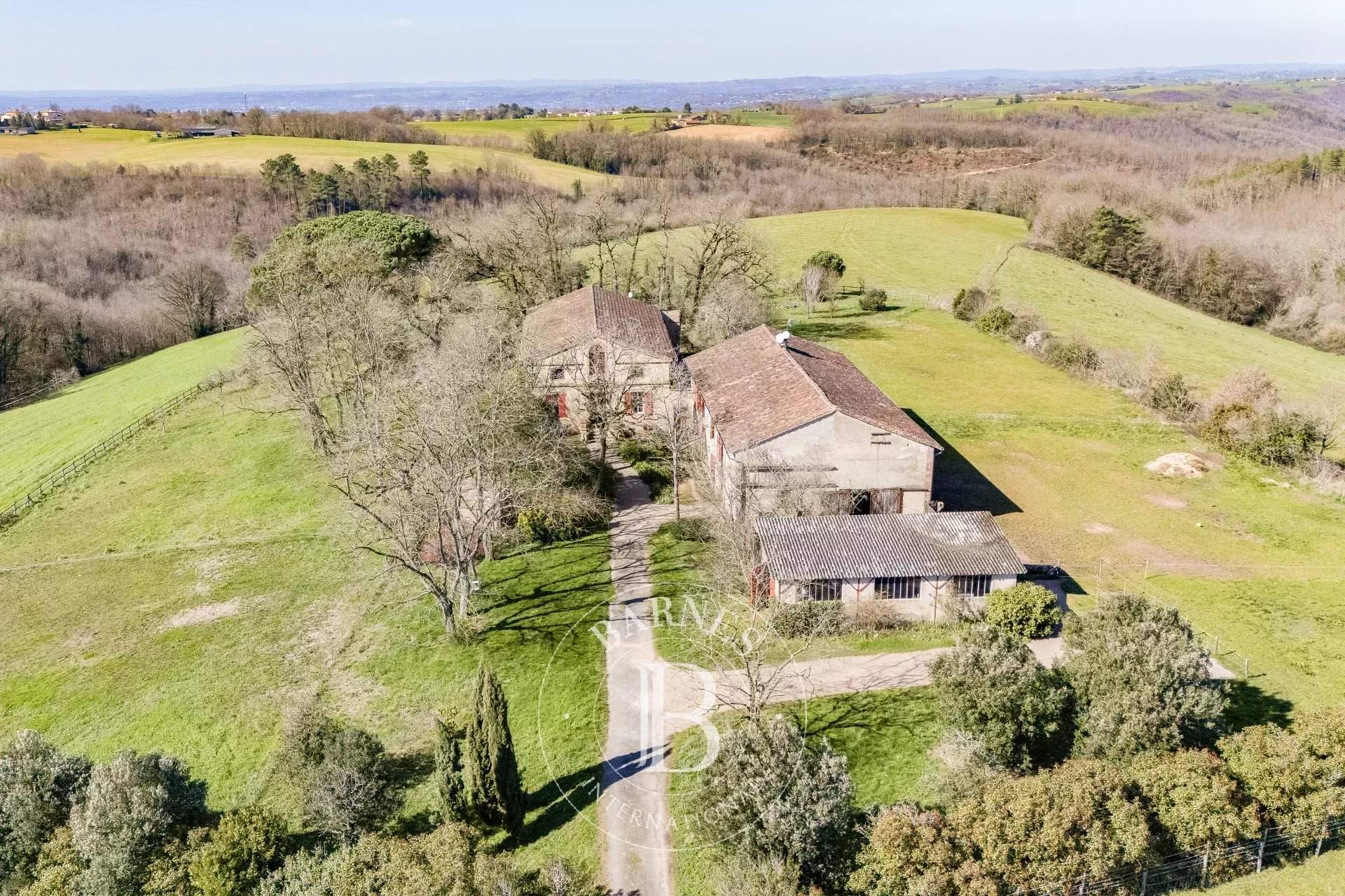 Albi  - Propriété  - picture 17