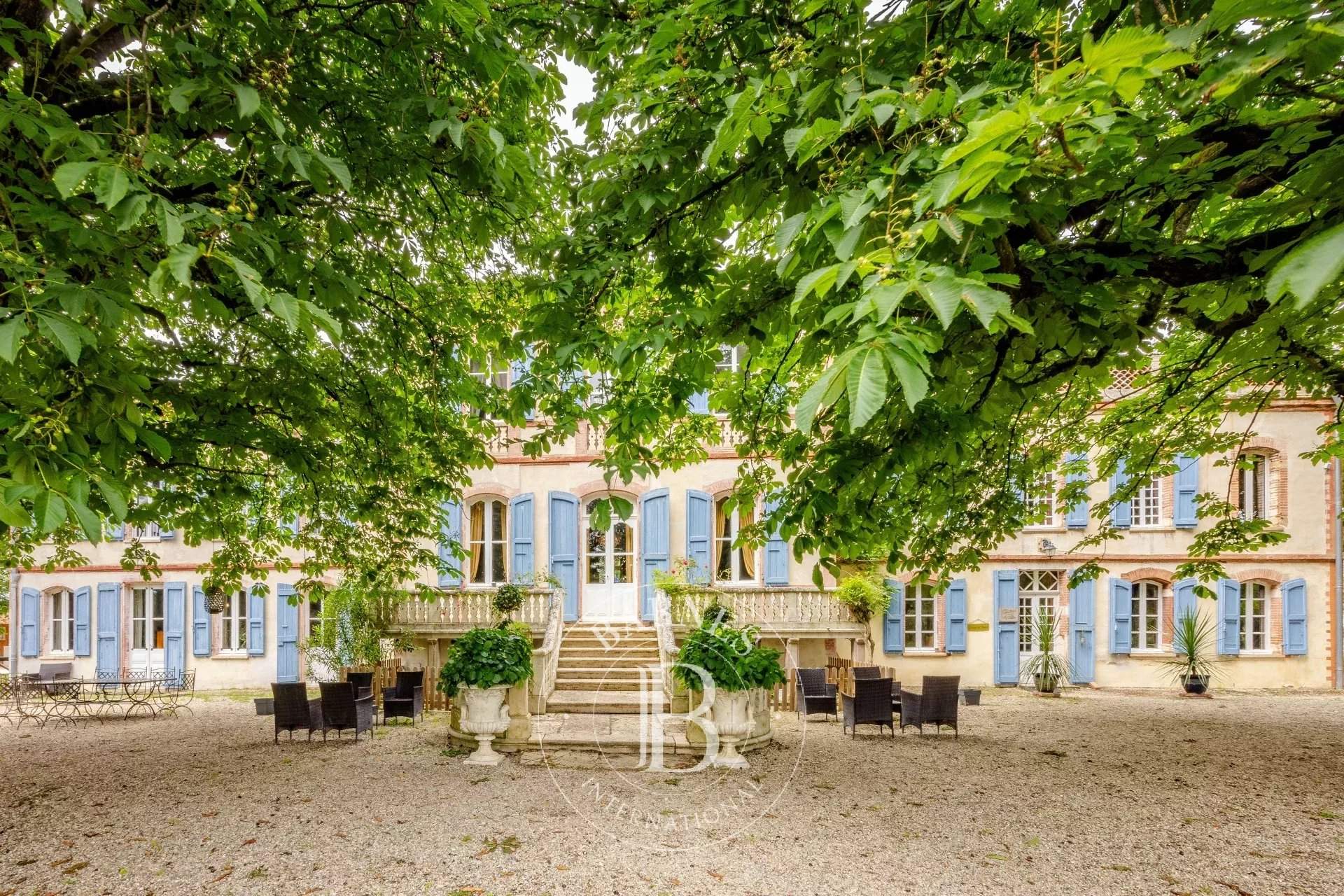 Toulouse  - Castle 12 Bedrooms - picture 3