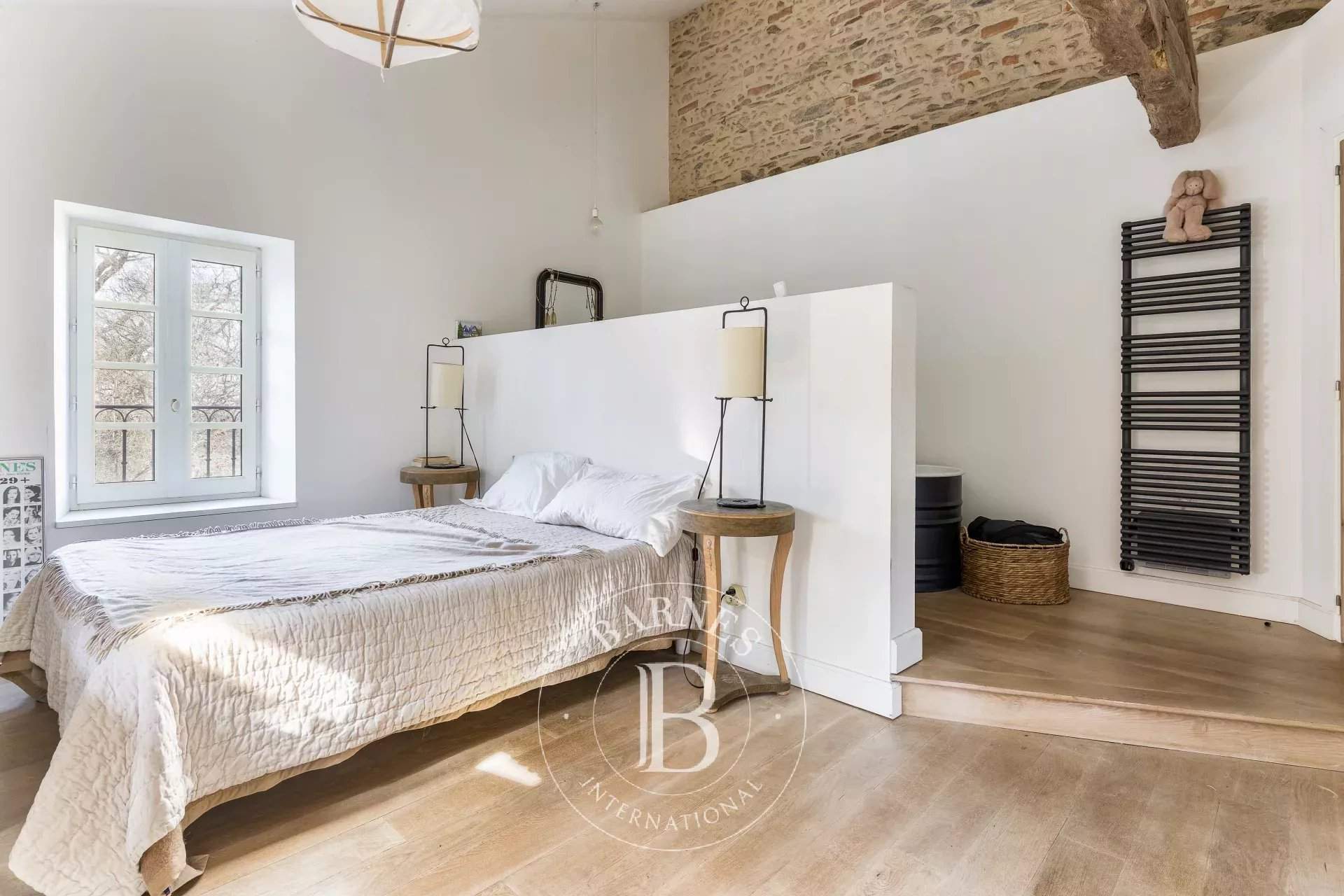 Albi  - Propriété  - picture 8