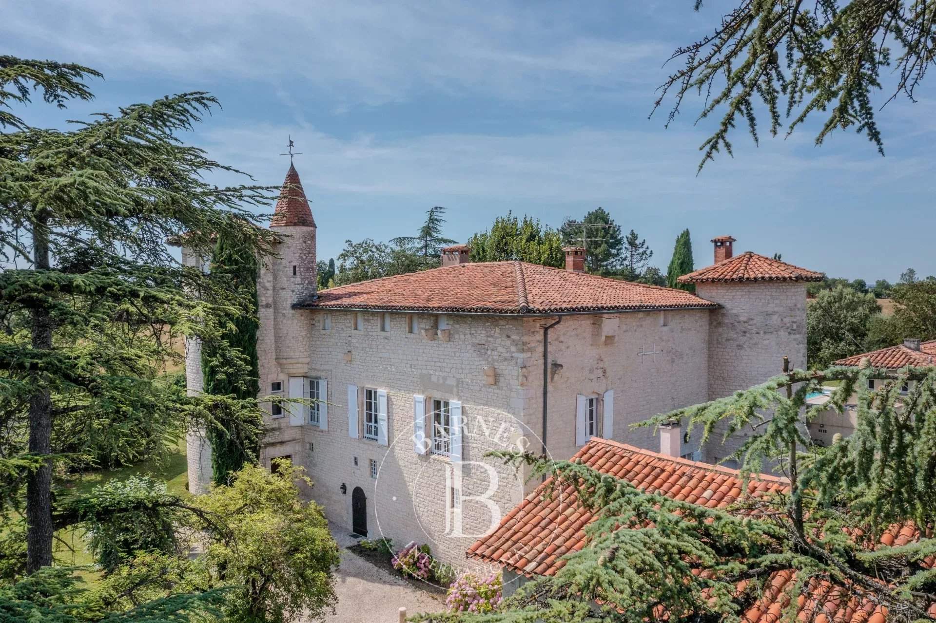 Albi  - Castle 7 Bedrooms - picture 1