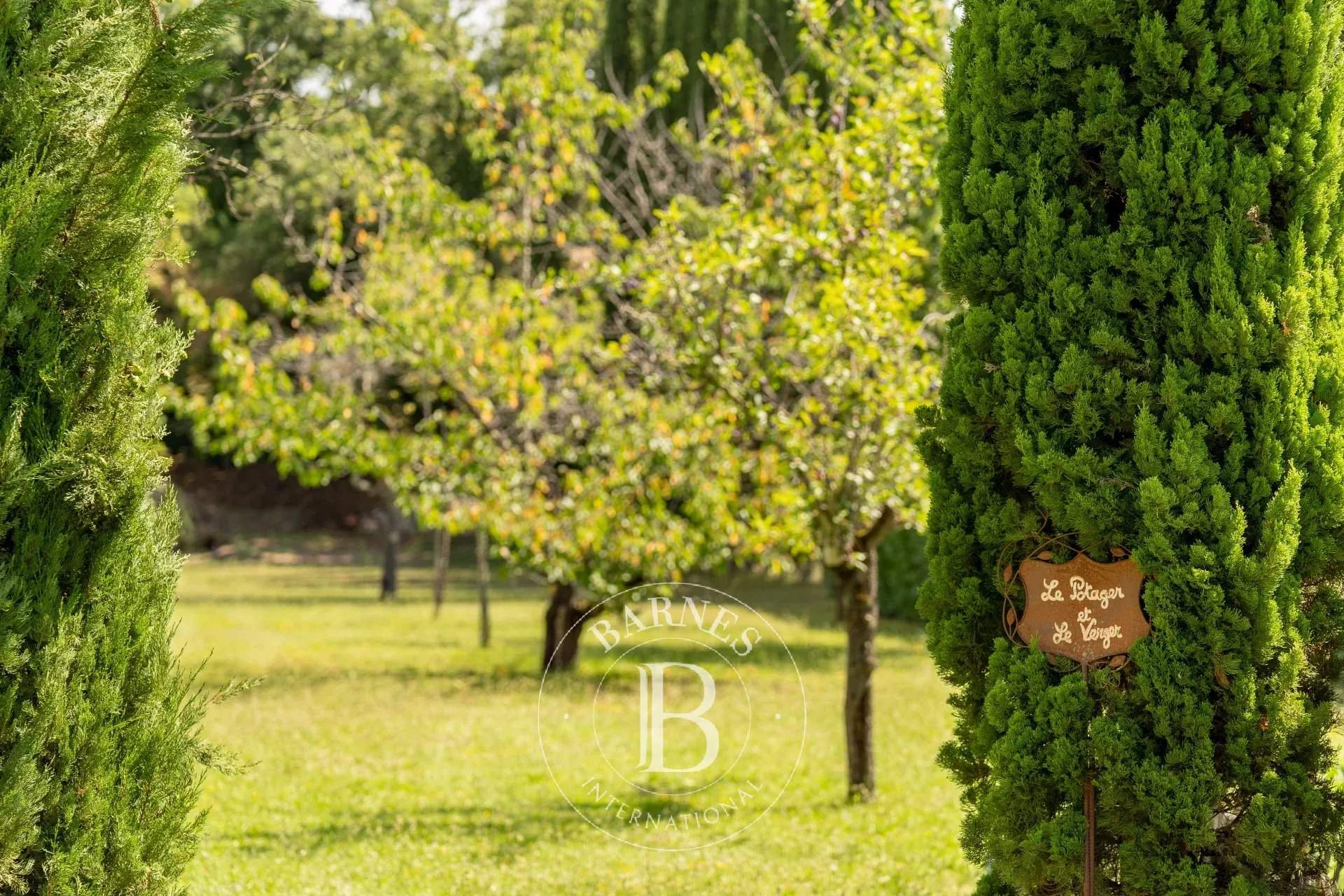 Albi  - Castle 7 Bedrooms - picture 16