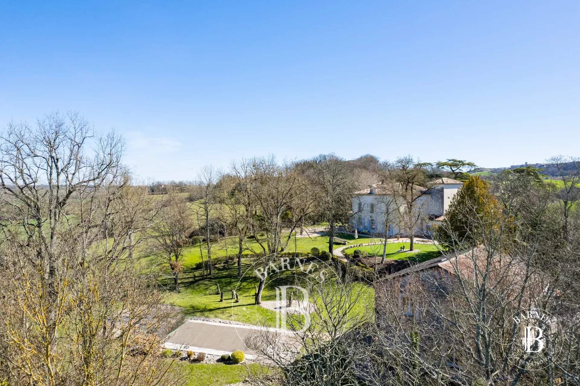 Albi  - Château 15 Pi&egrave;ces 7 Chambres - picture 16