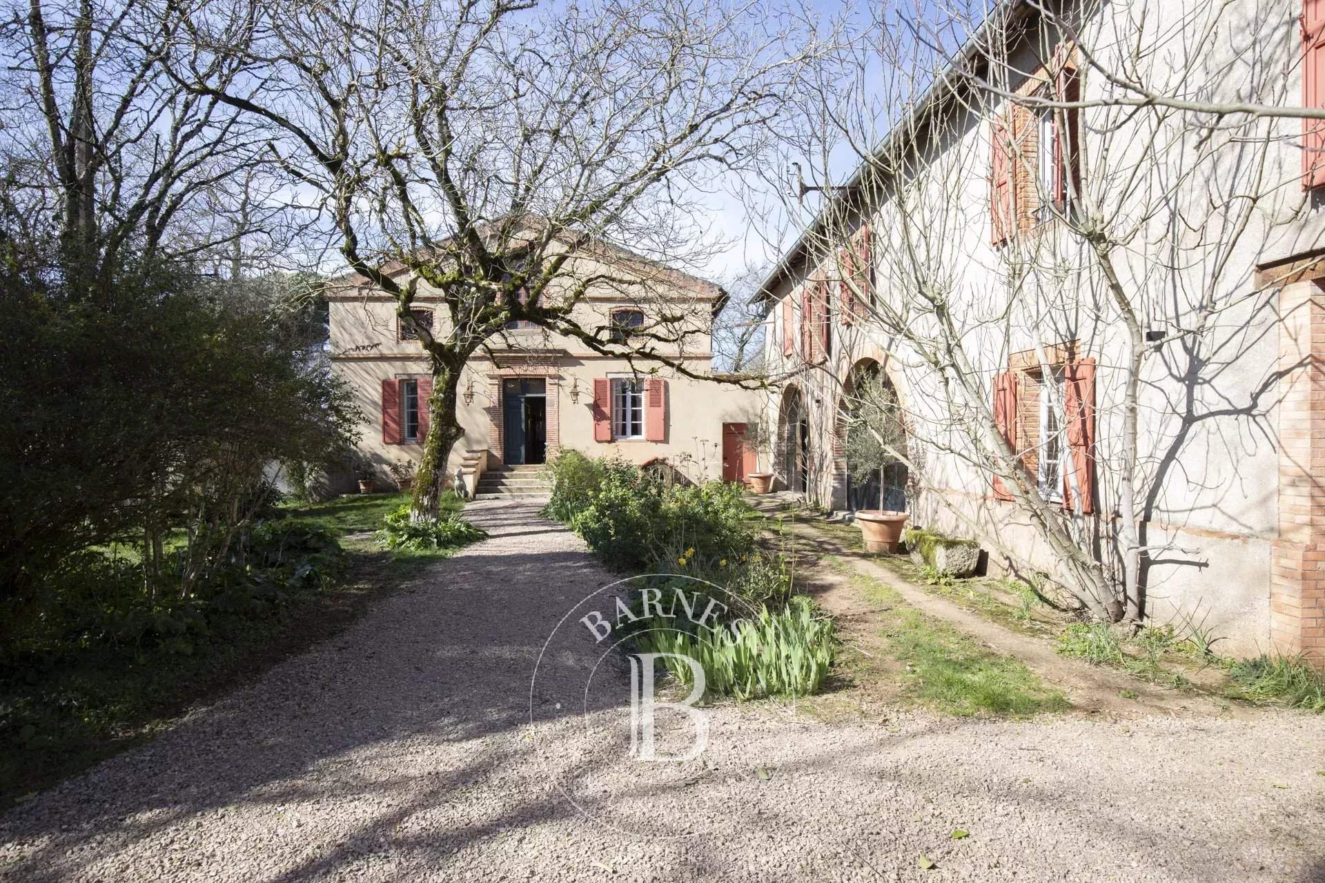 Albi  - Propriété  - picture 4