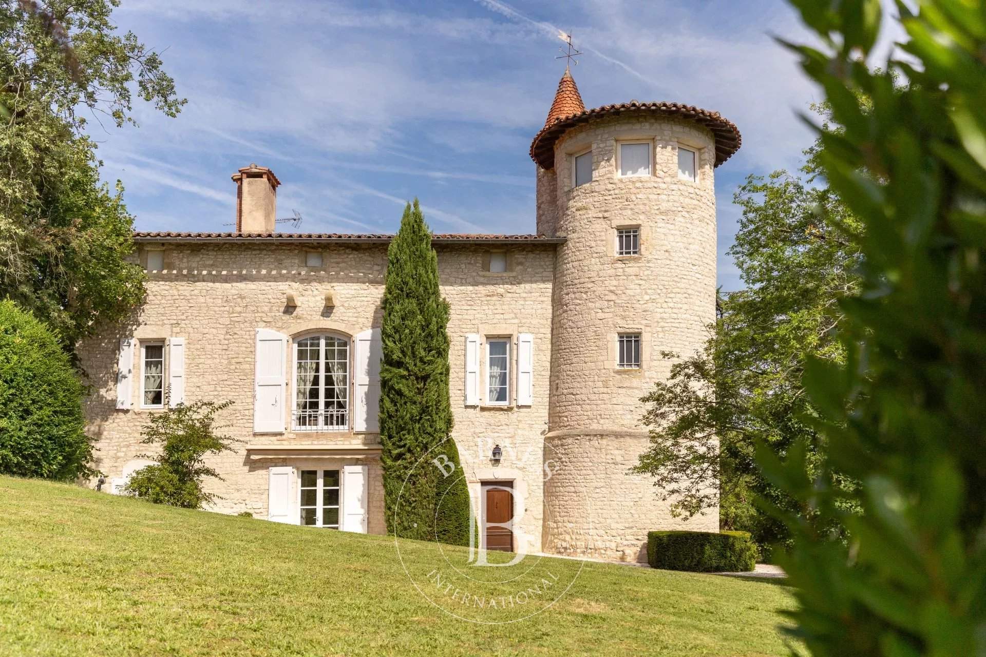 Albi  - Castle 7 Bedrooms - picture 12