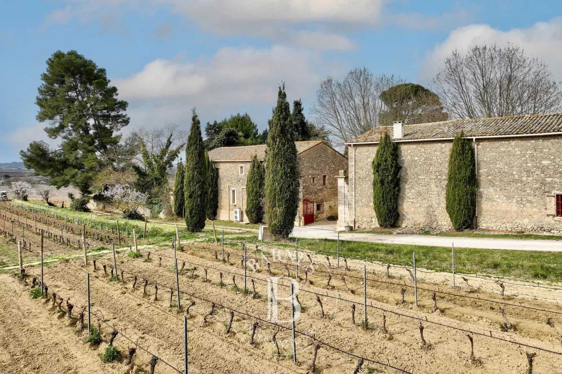 Pézenas  - Propriété viticole 14 Pièces 10 Chambres