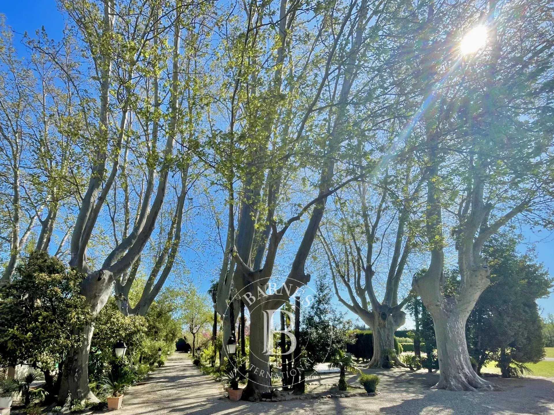 Toulouges  - Mas 7 Pi&egrave;ces 5 Chambres