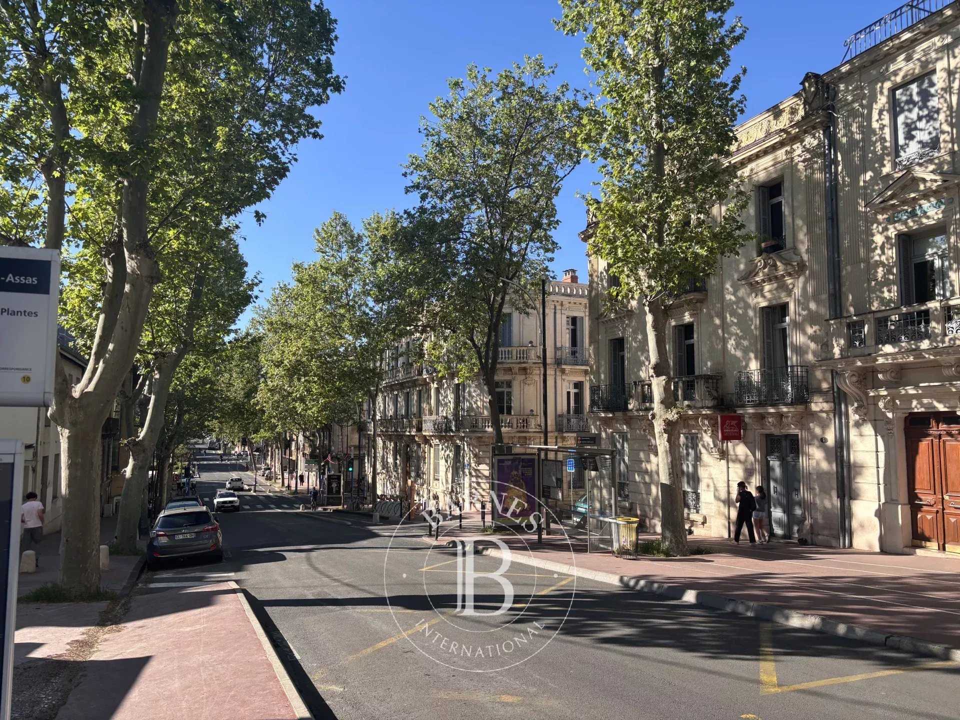 Montpellier  - Bureaux 