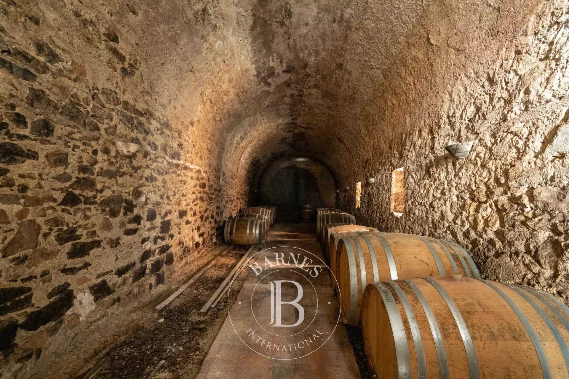 Capendu  - Propriété viticole 17 Pi&egrave;ces 12 Chambres