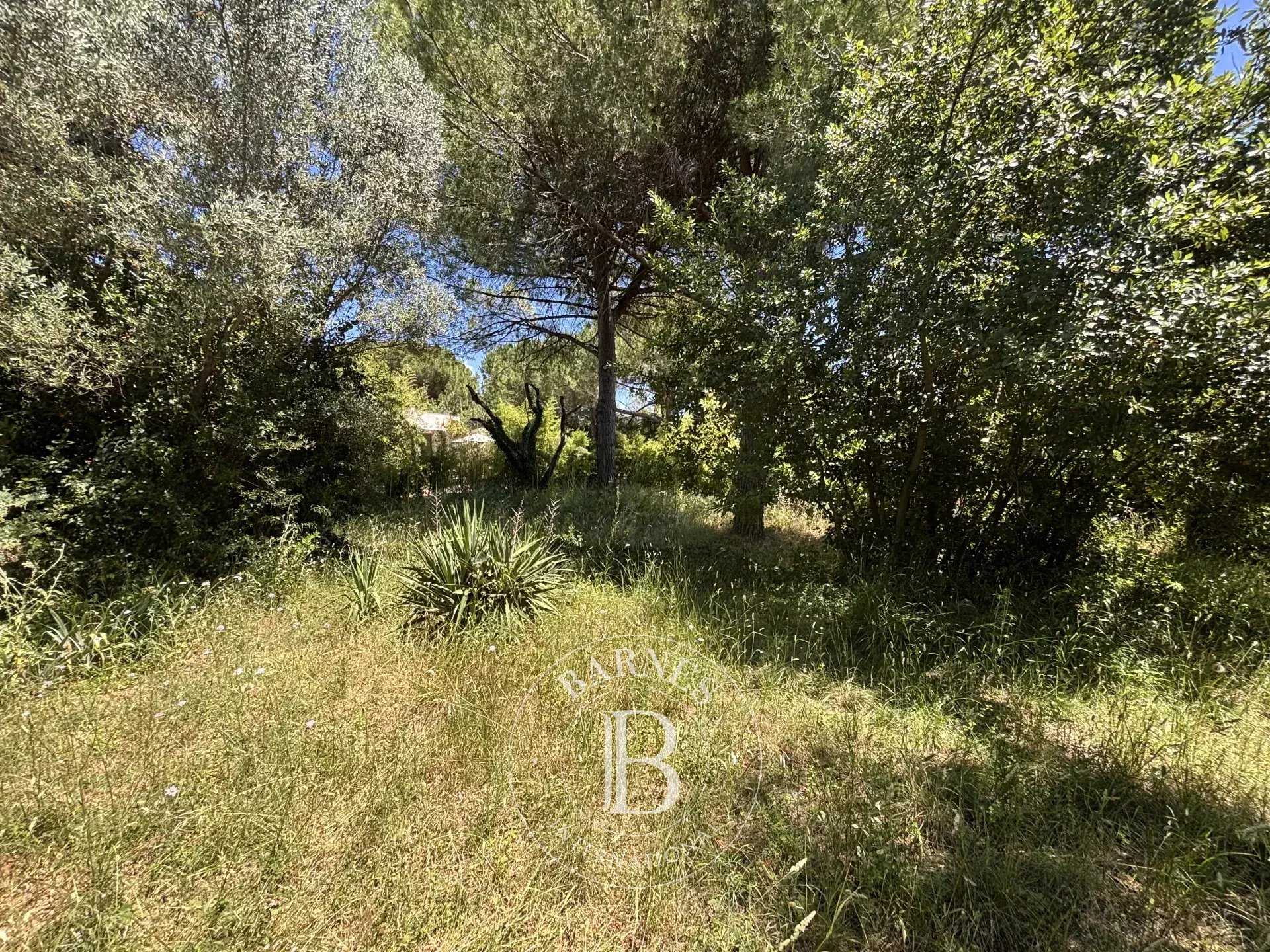 Montpellier  - Terrain constructible 