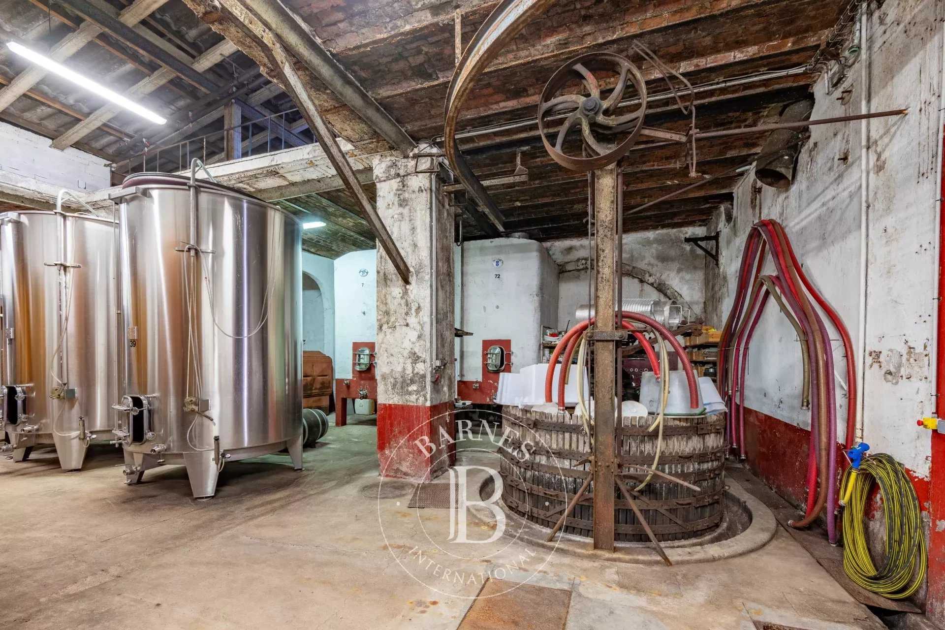 Capendu  - Propriété viticole 17 Pi&egrave;ces 12 Chambres