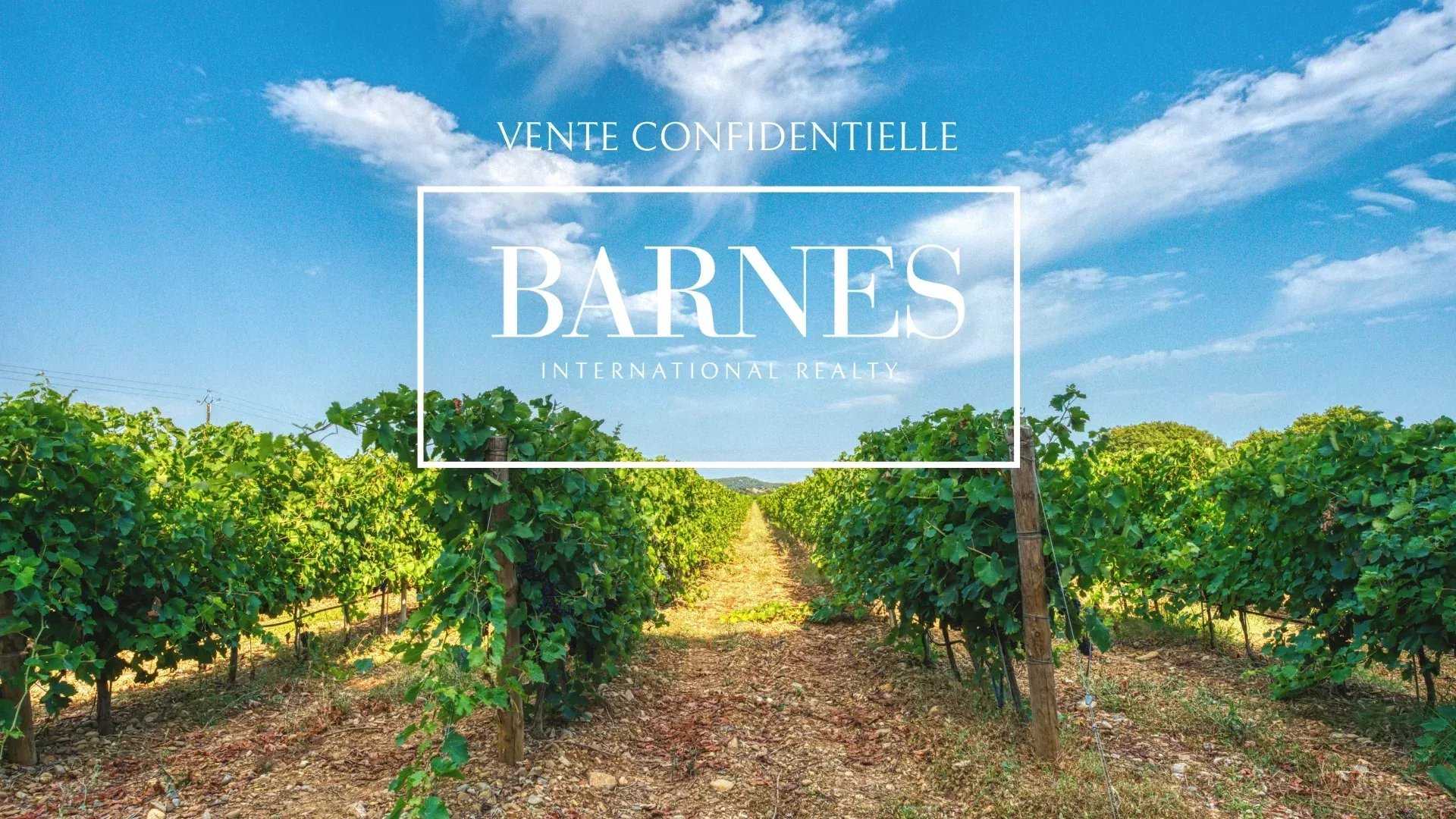 Narbonne  - Vineyard property 7 Bedrooms