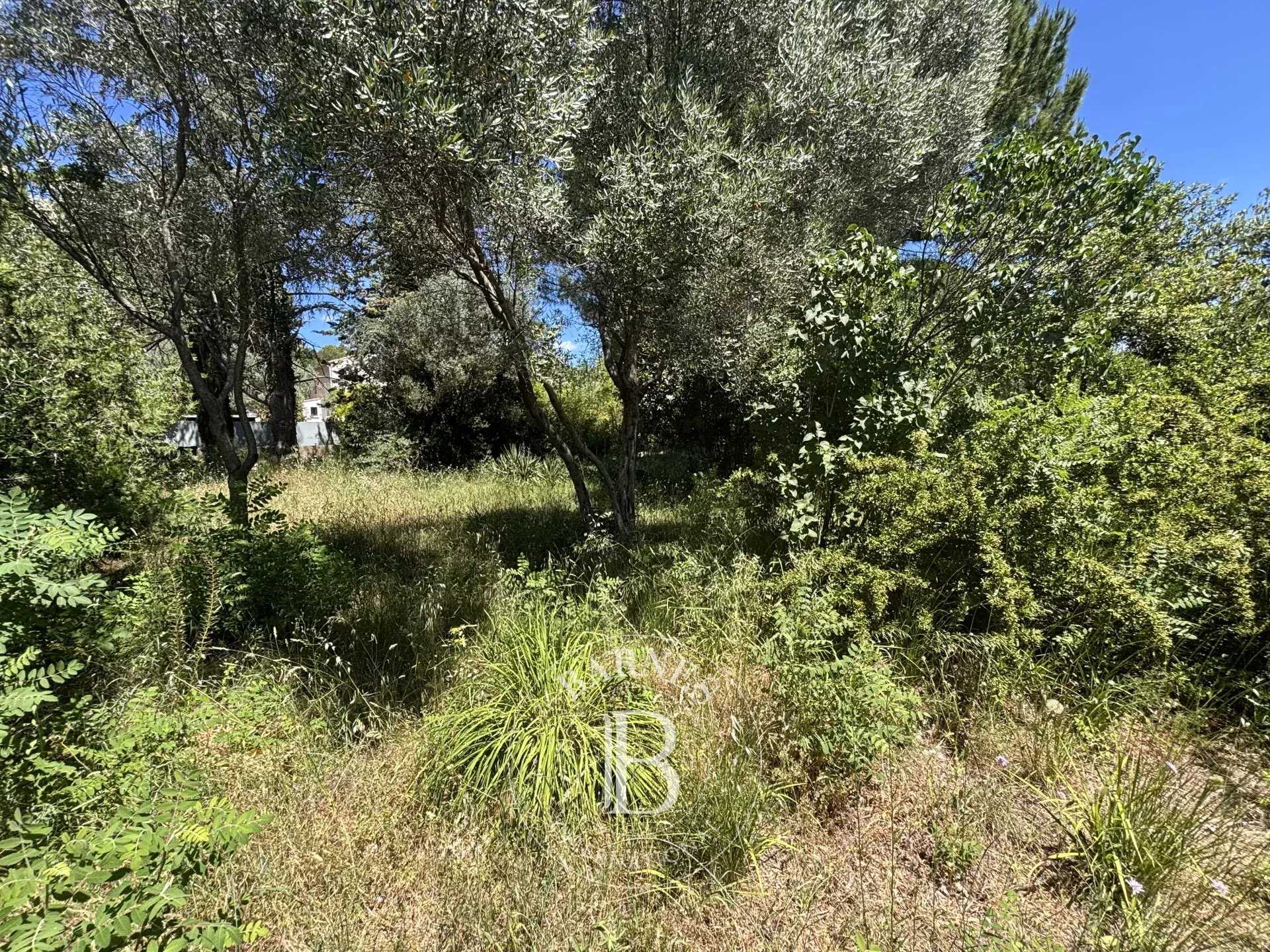 Montpellier  - Terrain constructible 