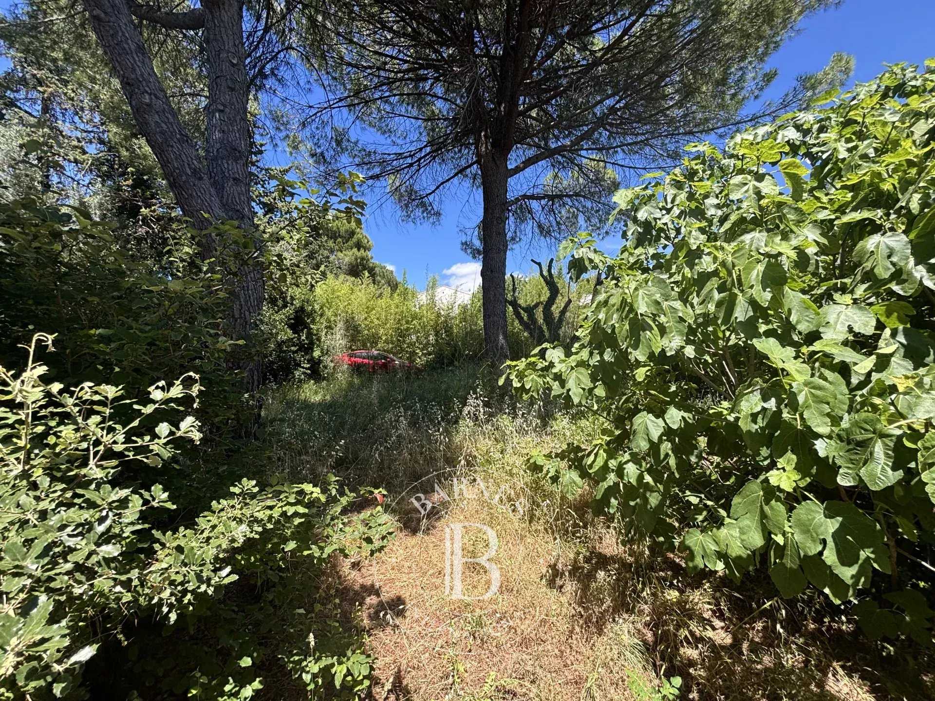 Montpellier  - Terrain constructible 