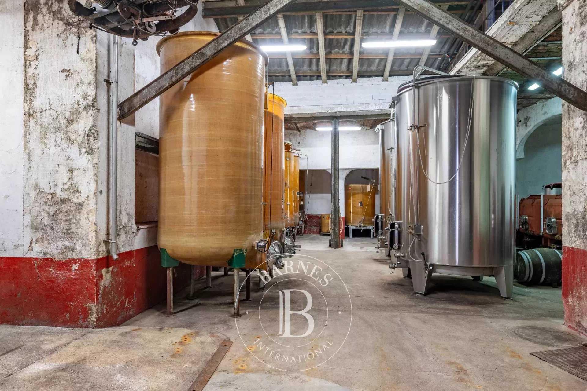 Propriété viticole Capendu  -  ref 85098736 (picture 2)