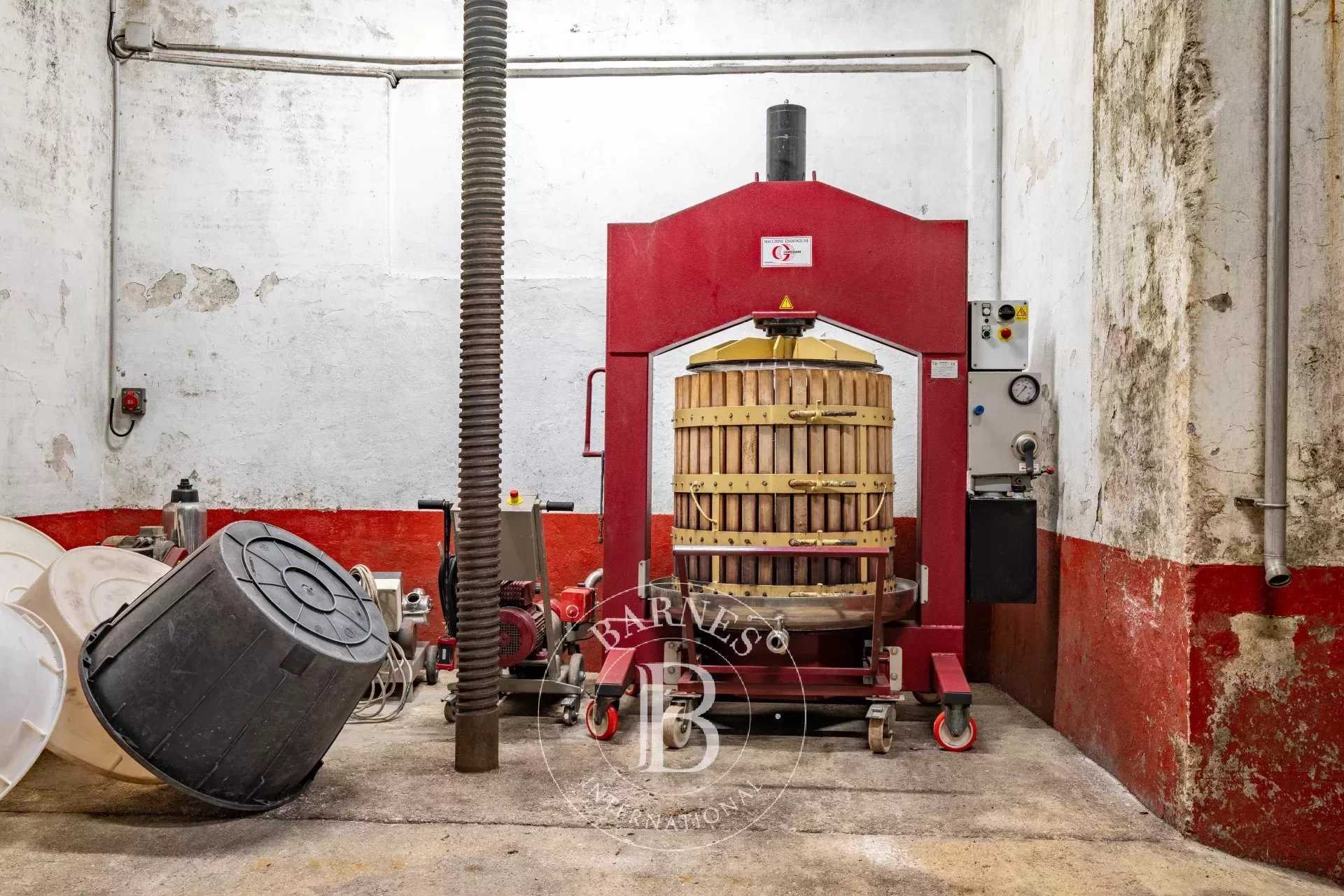 Propriété viticole Capendu  -  ref 85098736 (picture 3)