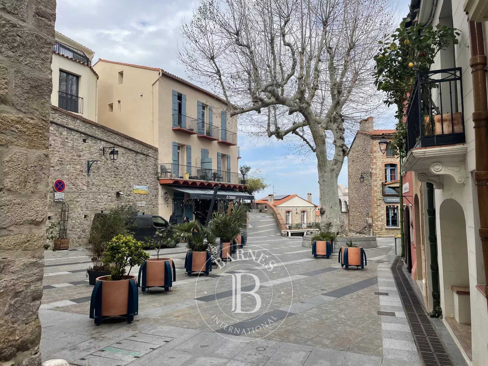 Casa de pueblo Laroque-des-Albères  -  ref 85791381 (picture 1)