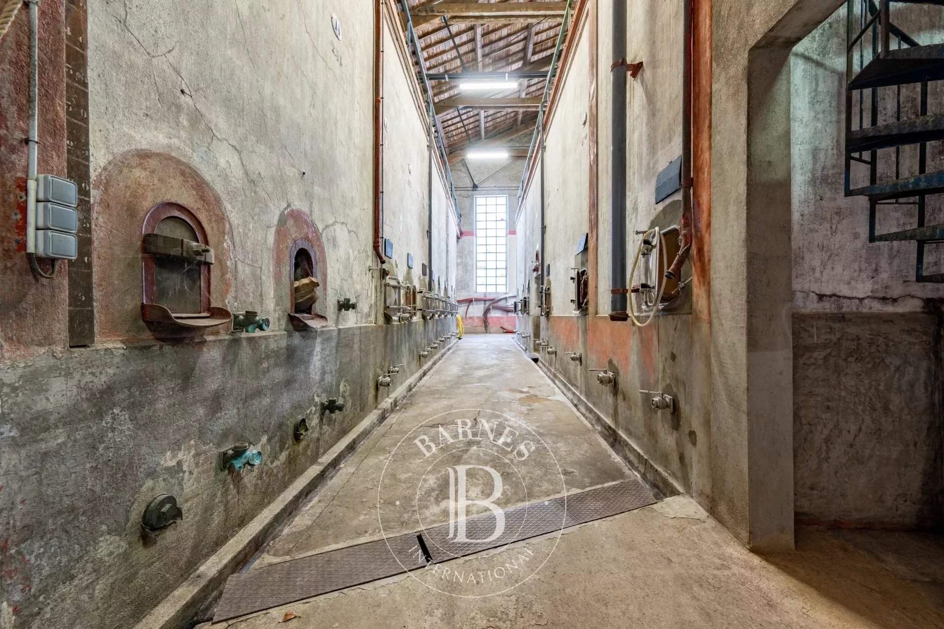 Capendu  - Propriété viticole 17 Pi&egrave;ces 12 Chambres - picture 1