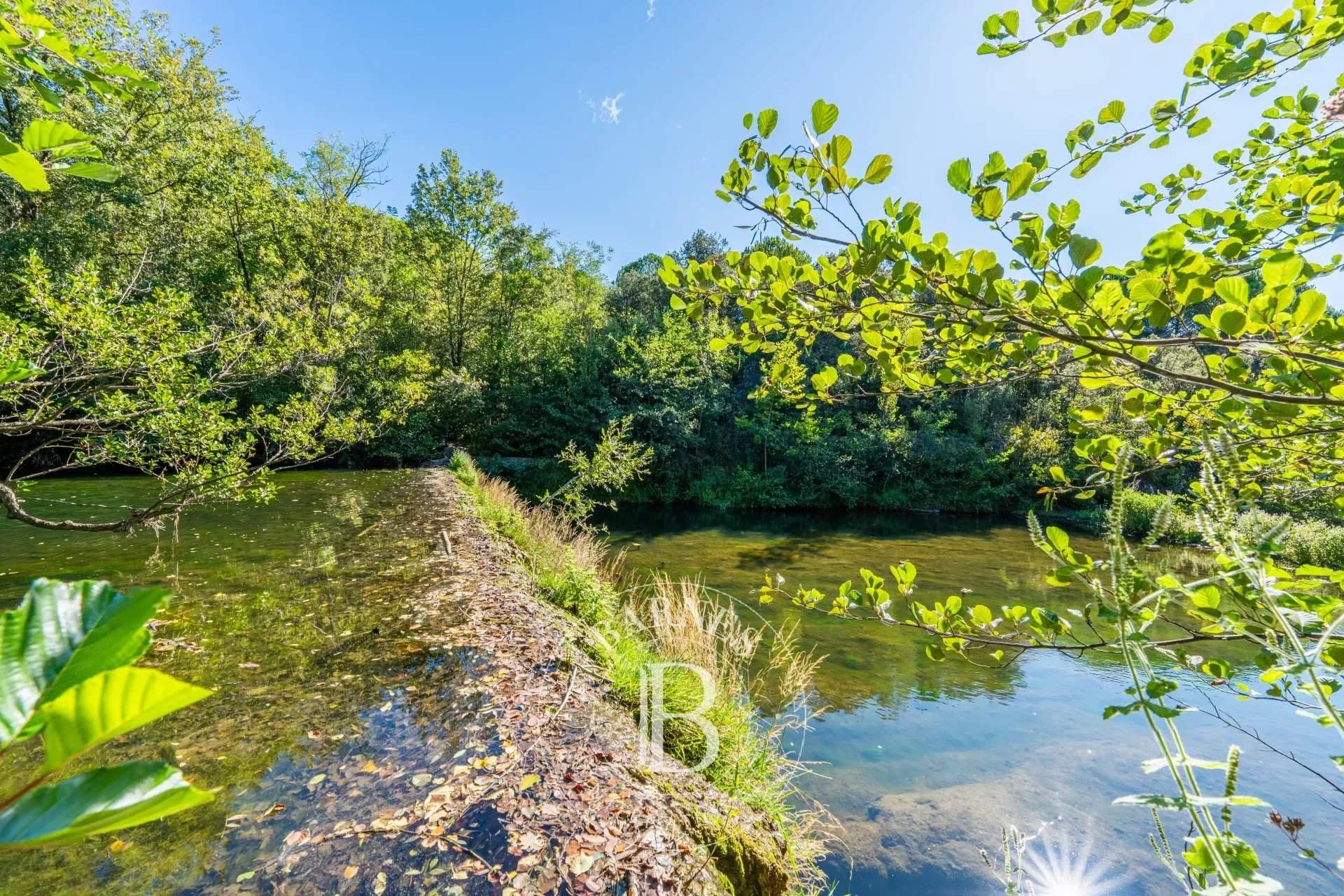 Sauve  - Mas 8 Pi&egrave;ces 7 Chambres - picture 8