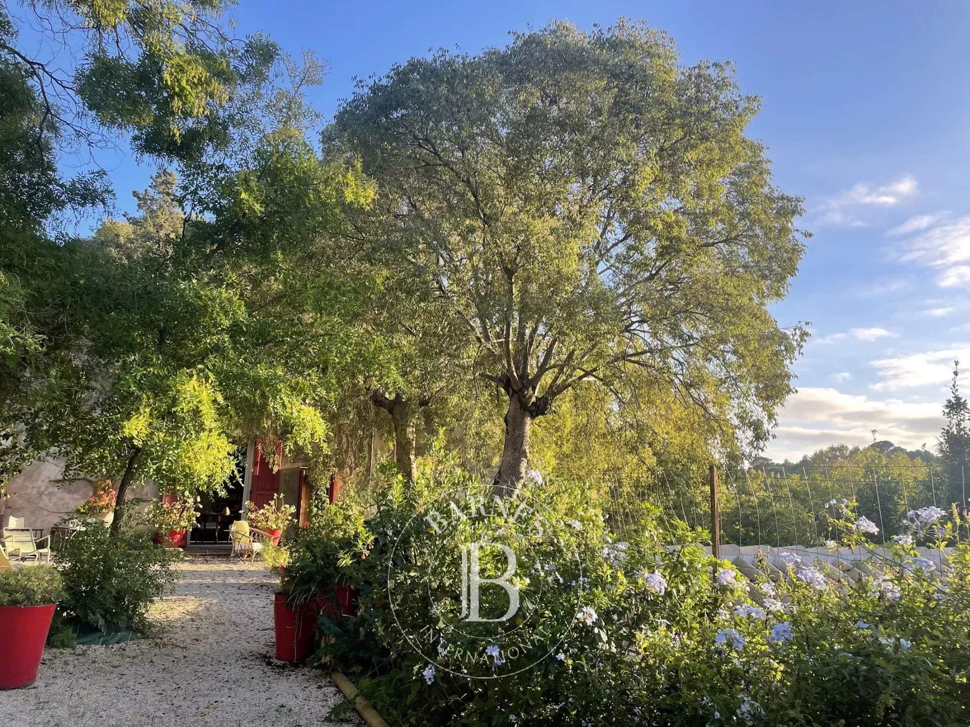 Montpellier  - House  - picture 19