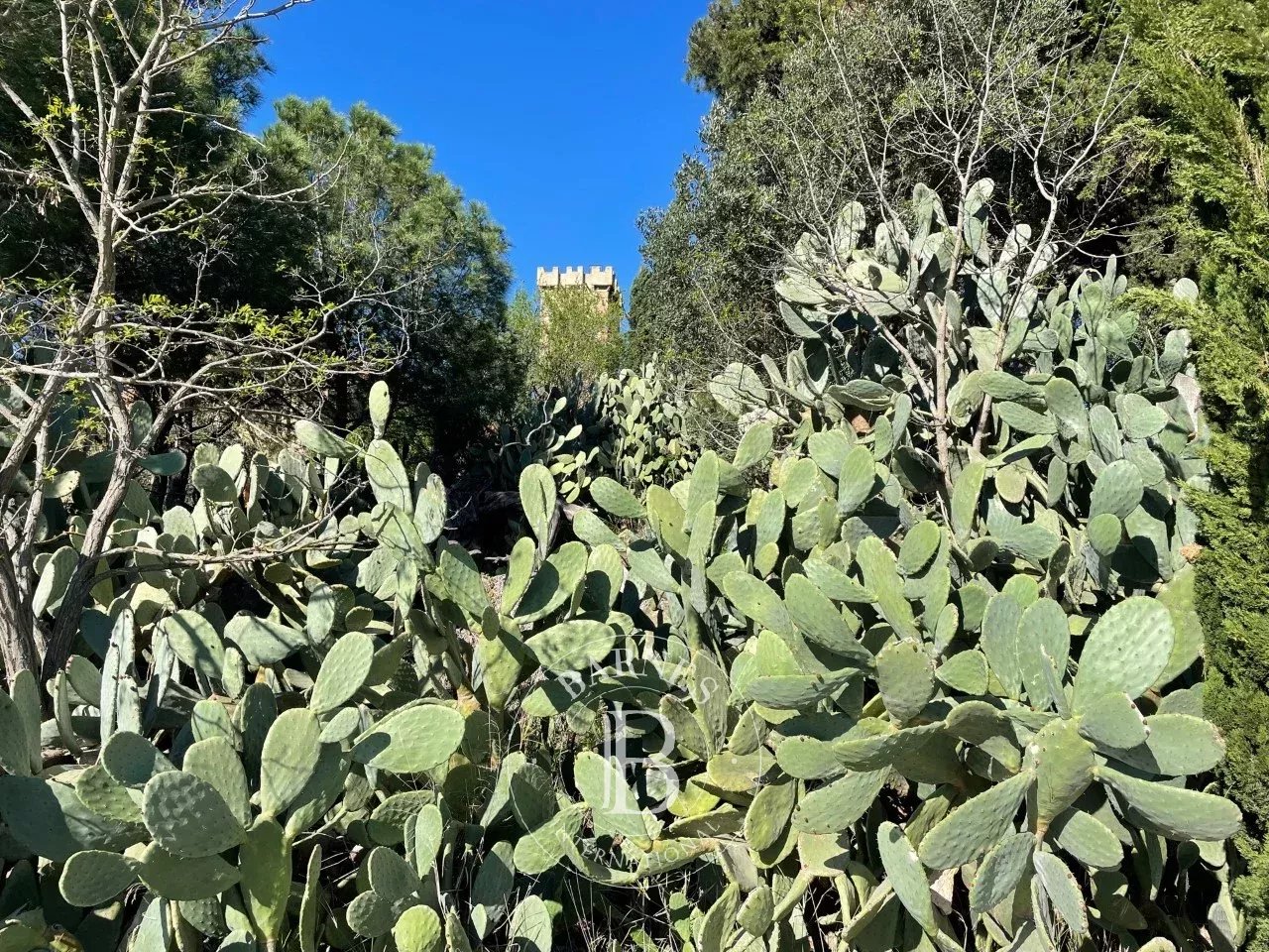 Perpignan  - Property 7 Bedrooms - picture 19