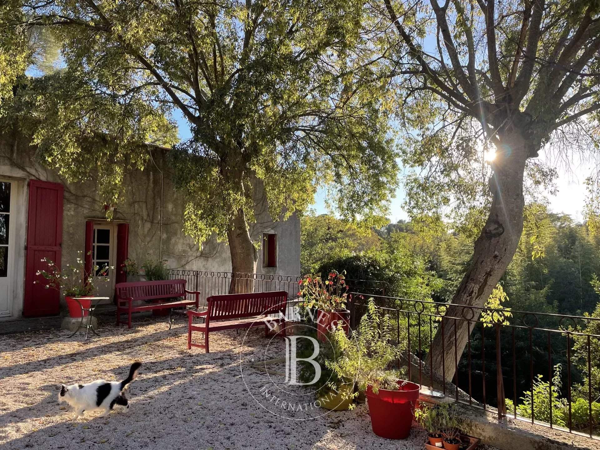 Montpellier  - House  - picture 15